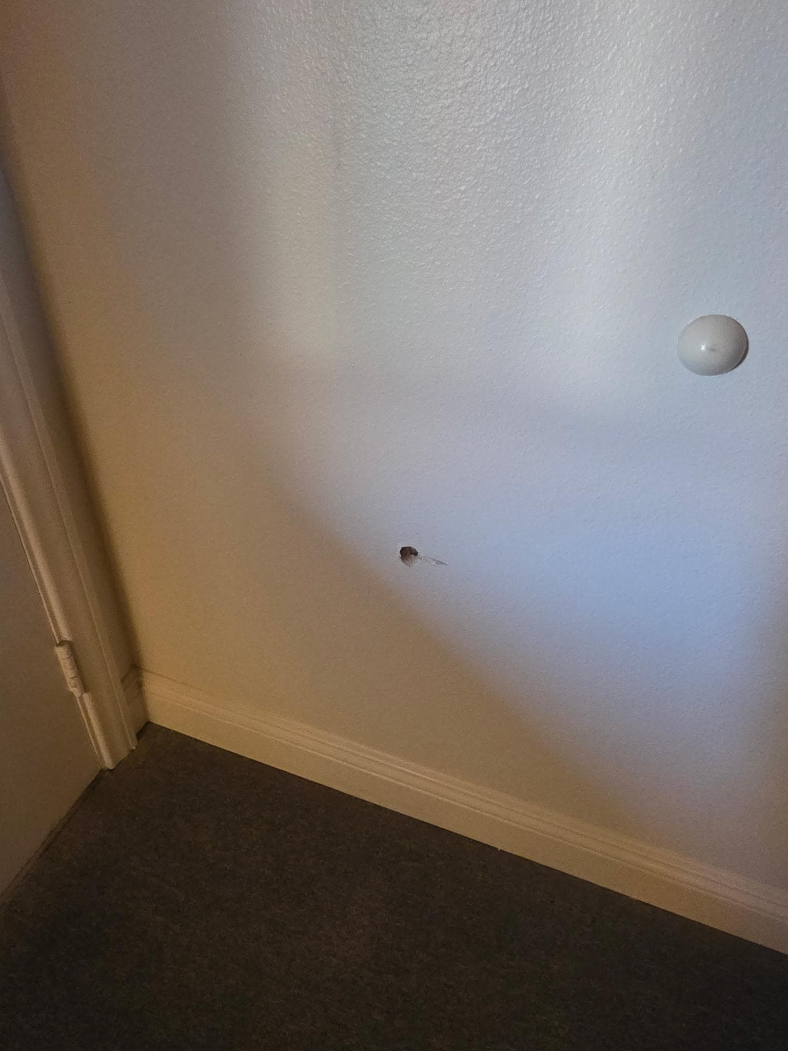 Room had a hole too