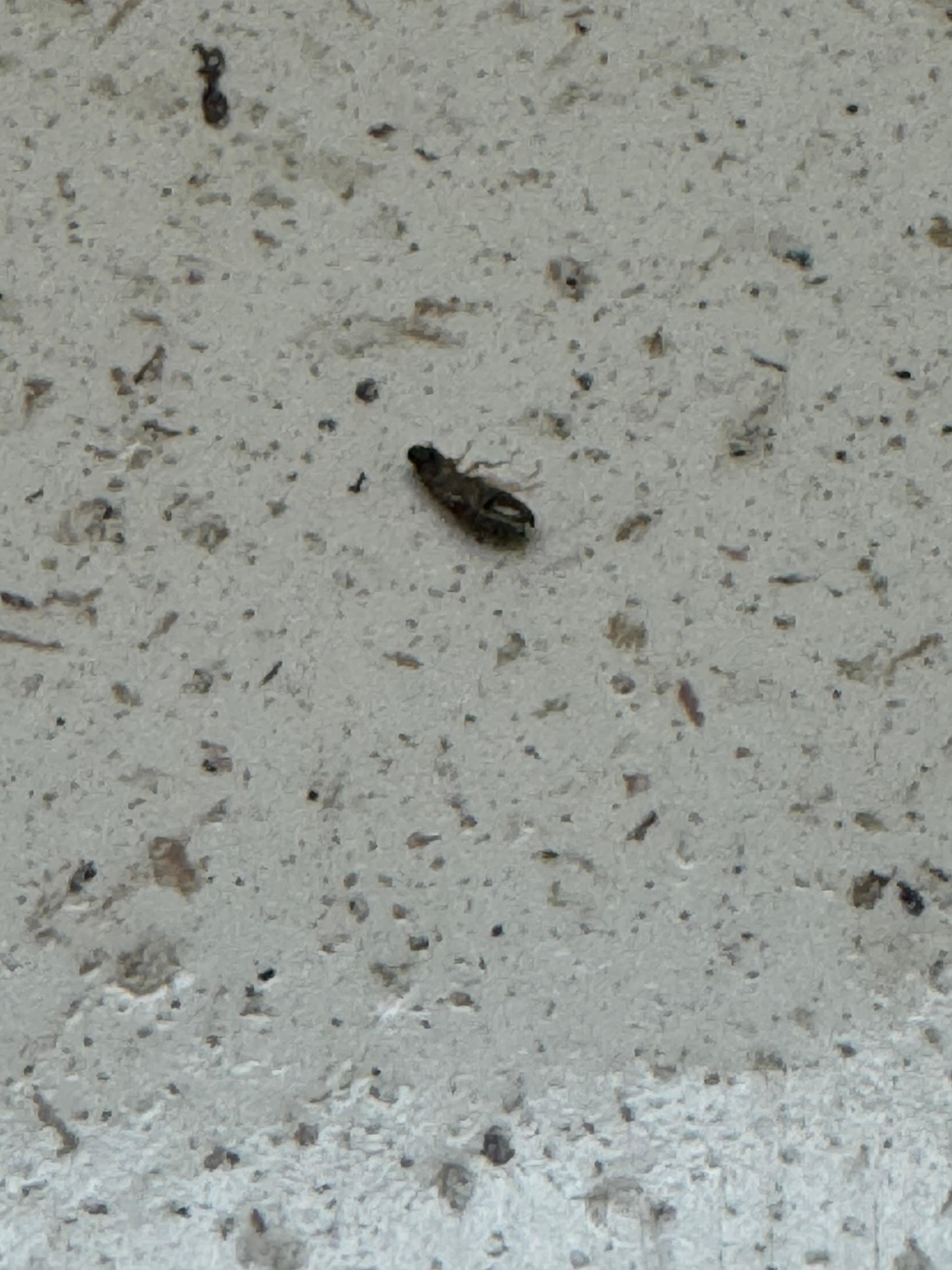 Found on the counters