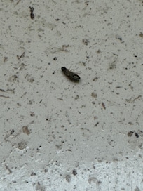Found on the counters