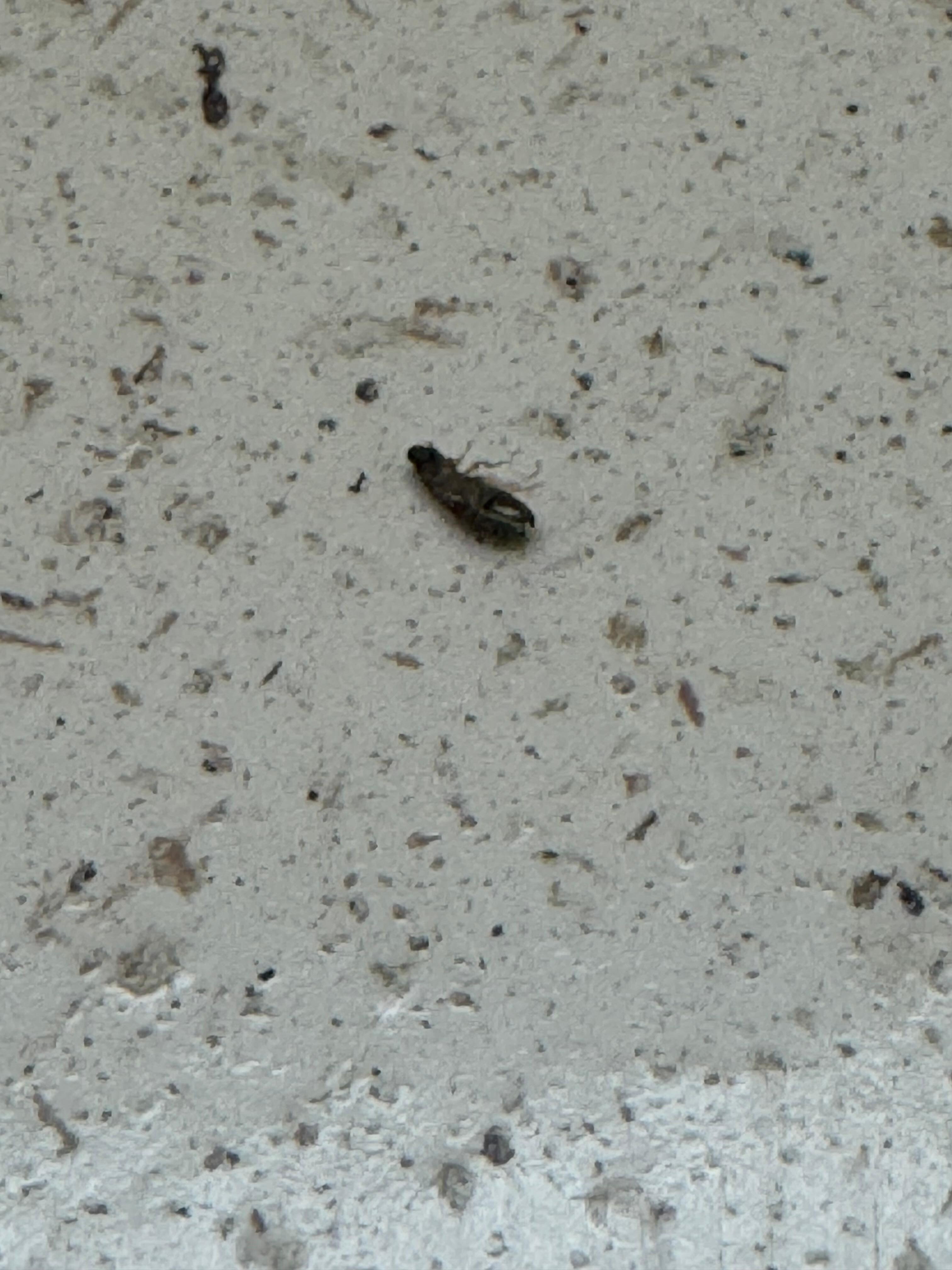 Found on the counters