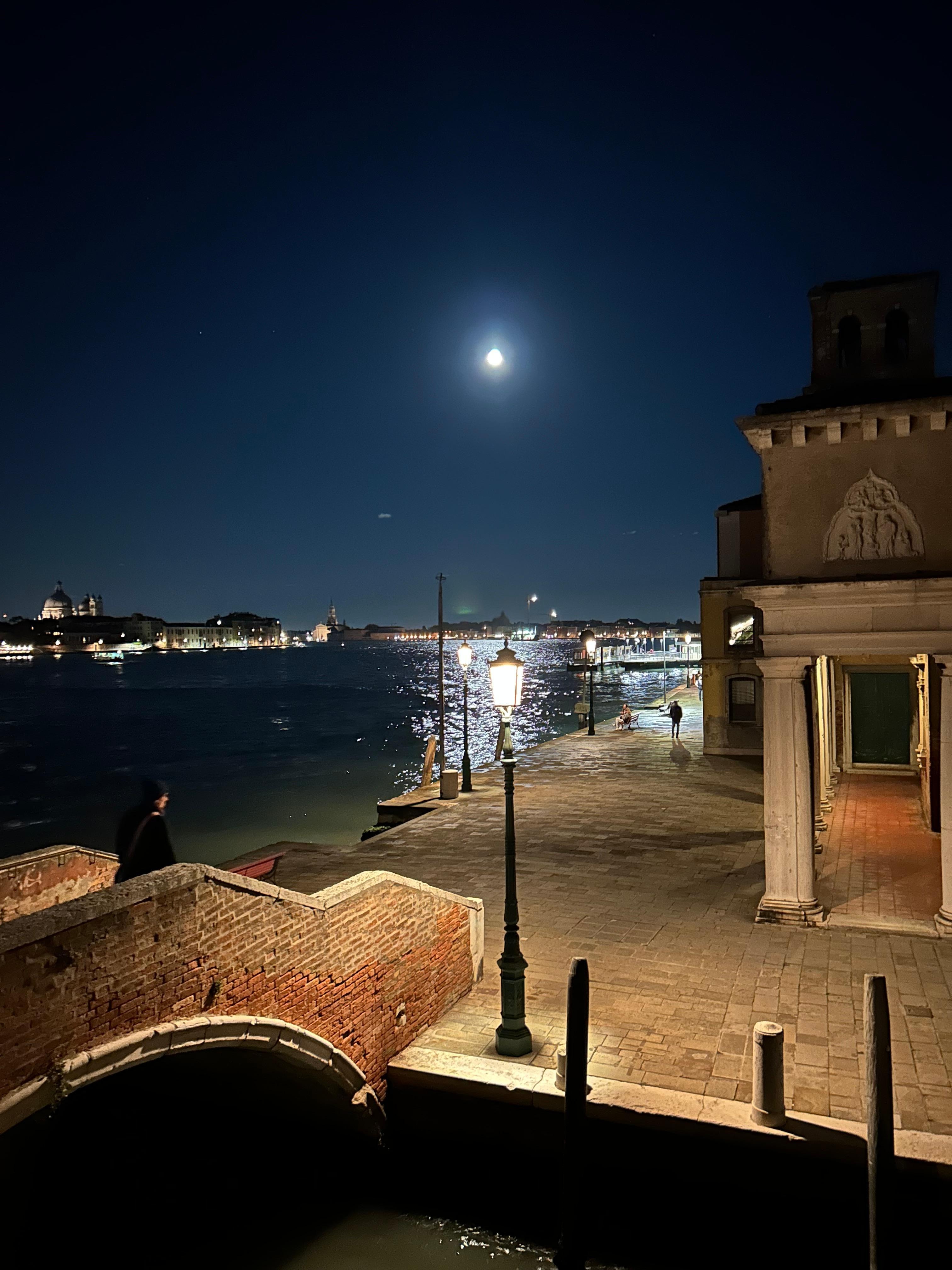 Quite view from the kitchen window with a full moon
