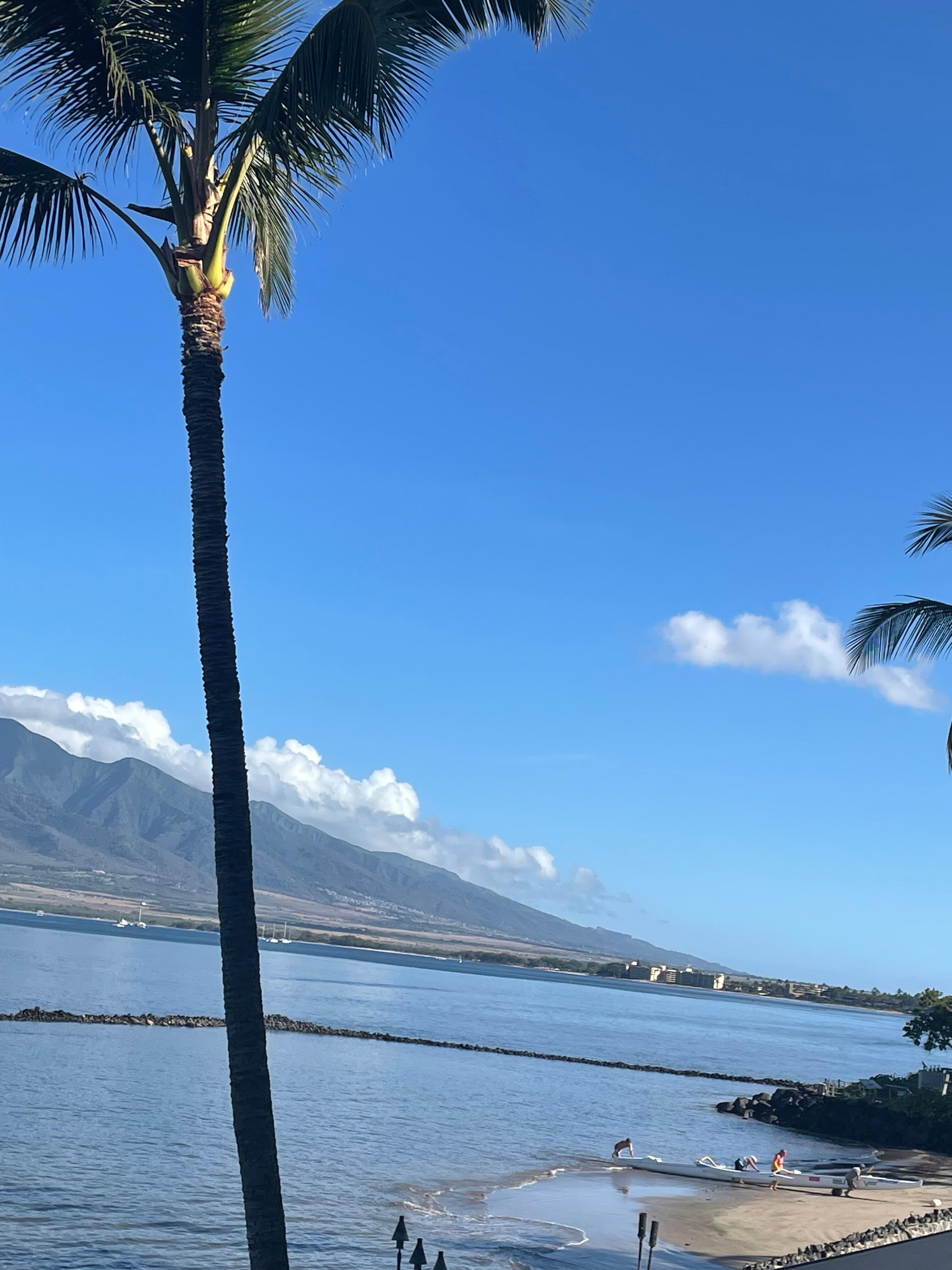 View from the lanai
