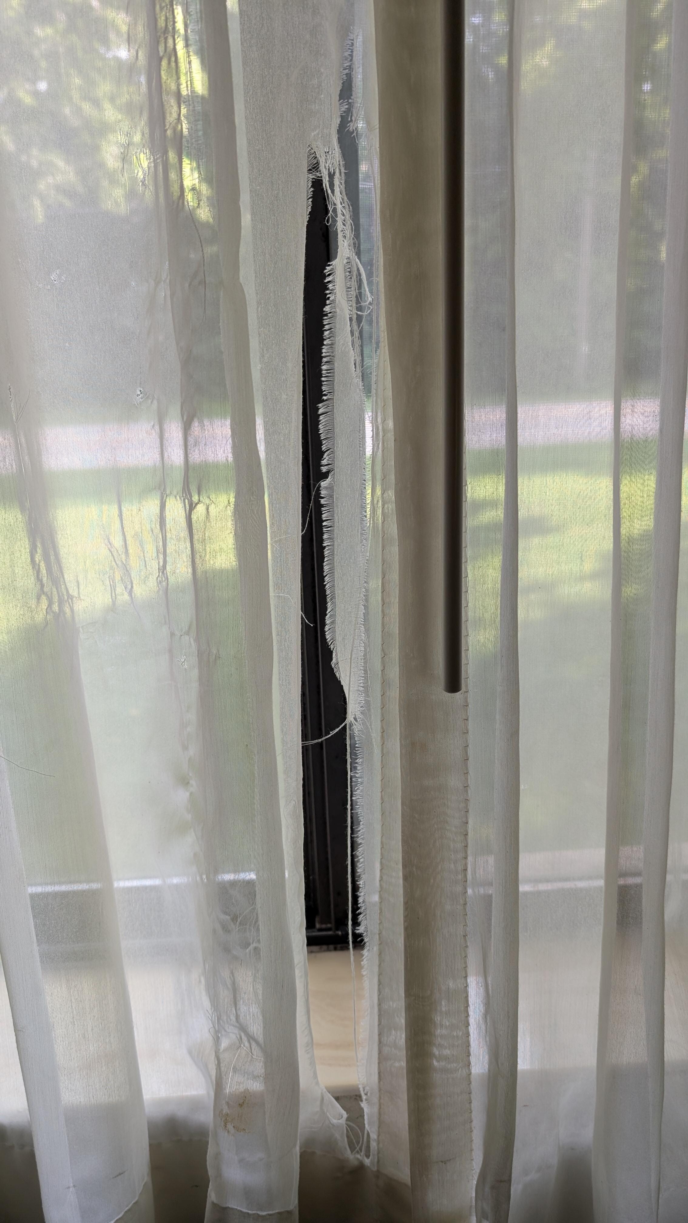 Curtain had sun rot