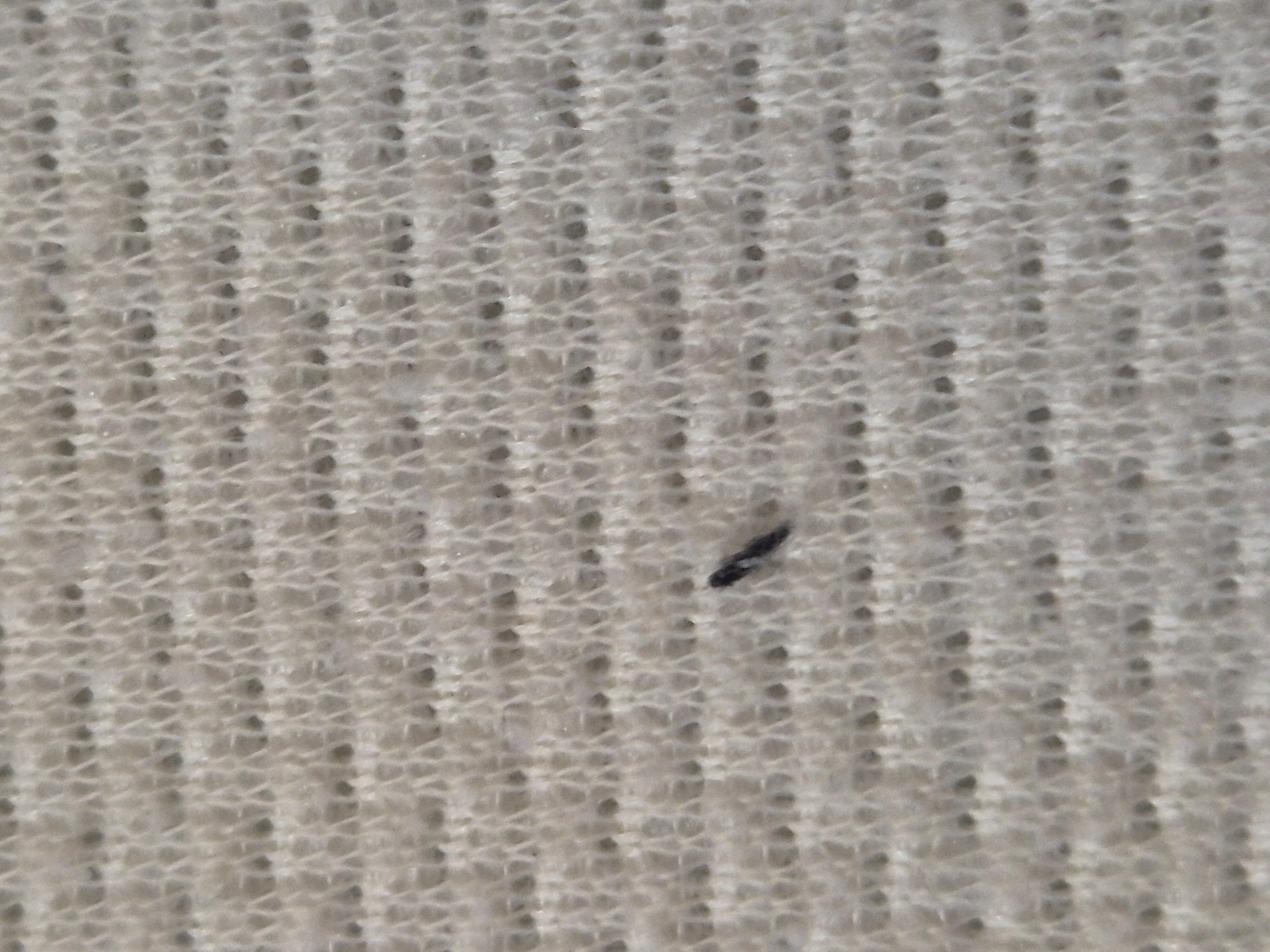 Bed Mattress