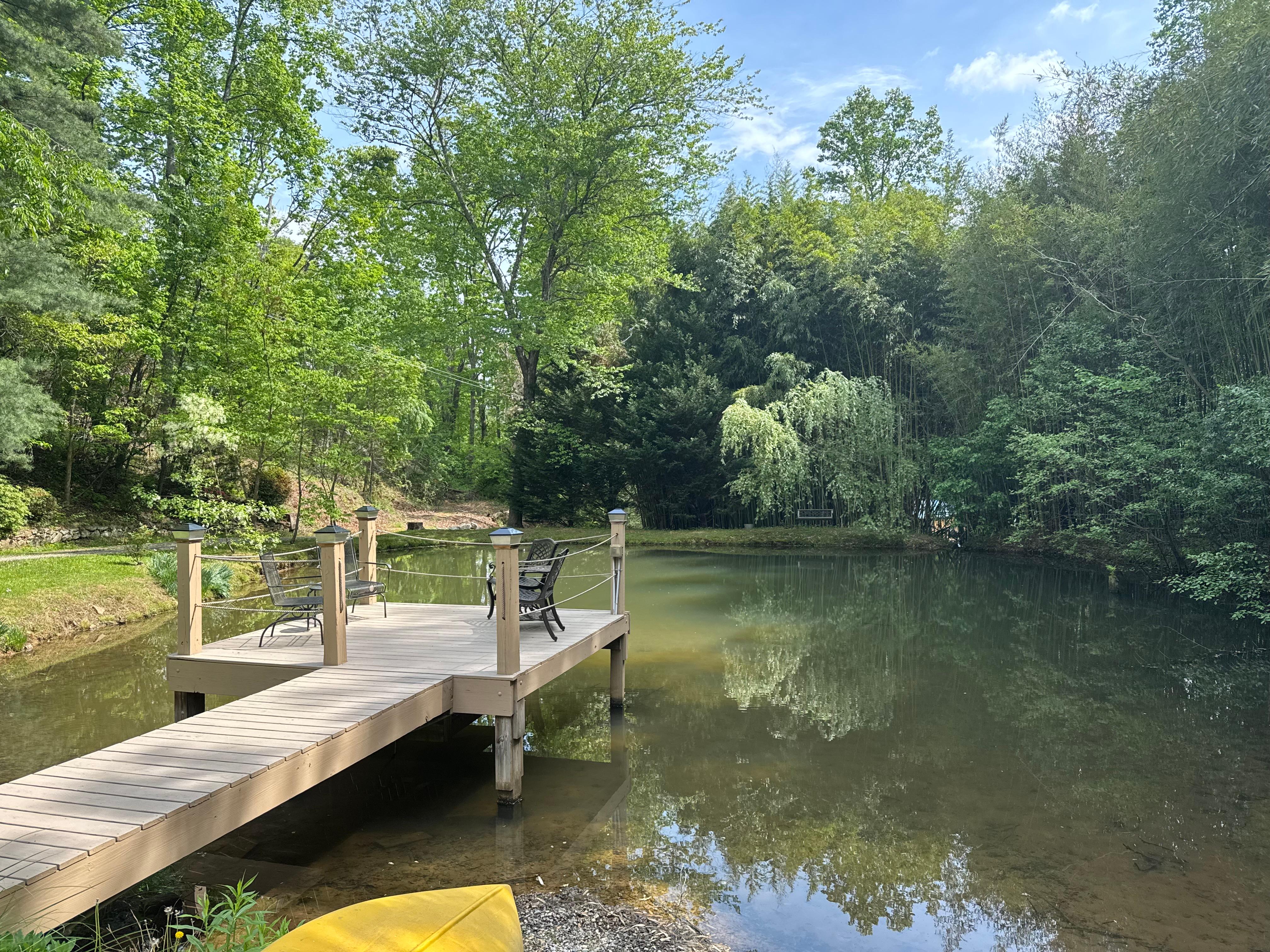 It was fun watching the koi fish from the dock