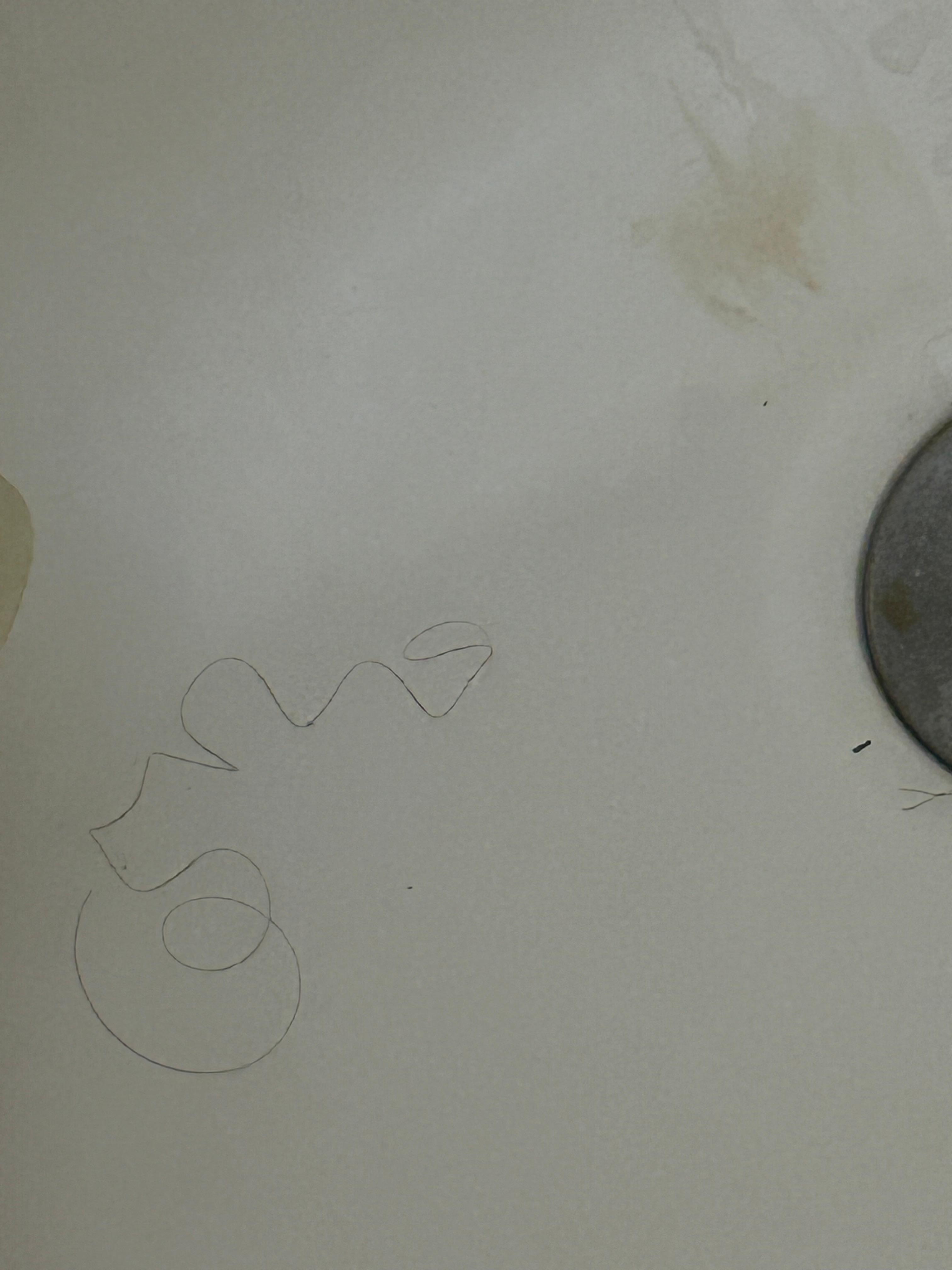 Hair in shower when we arrived