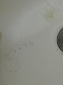 Hair in shower when we arrived
