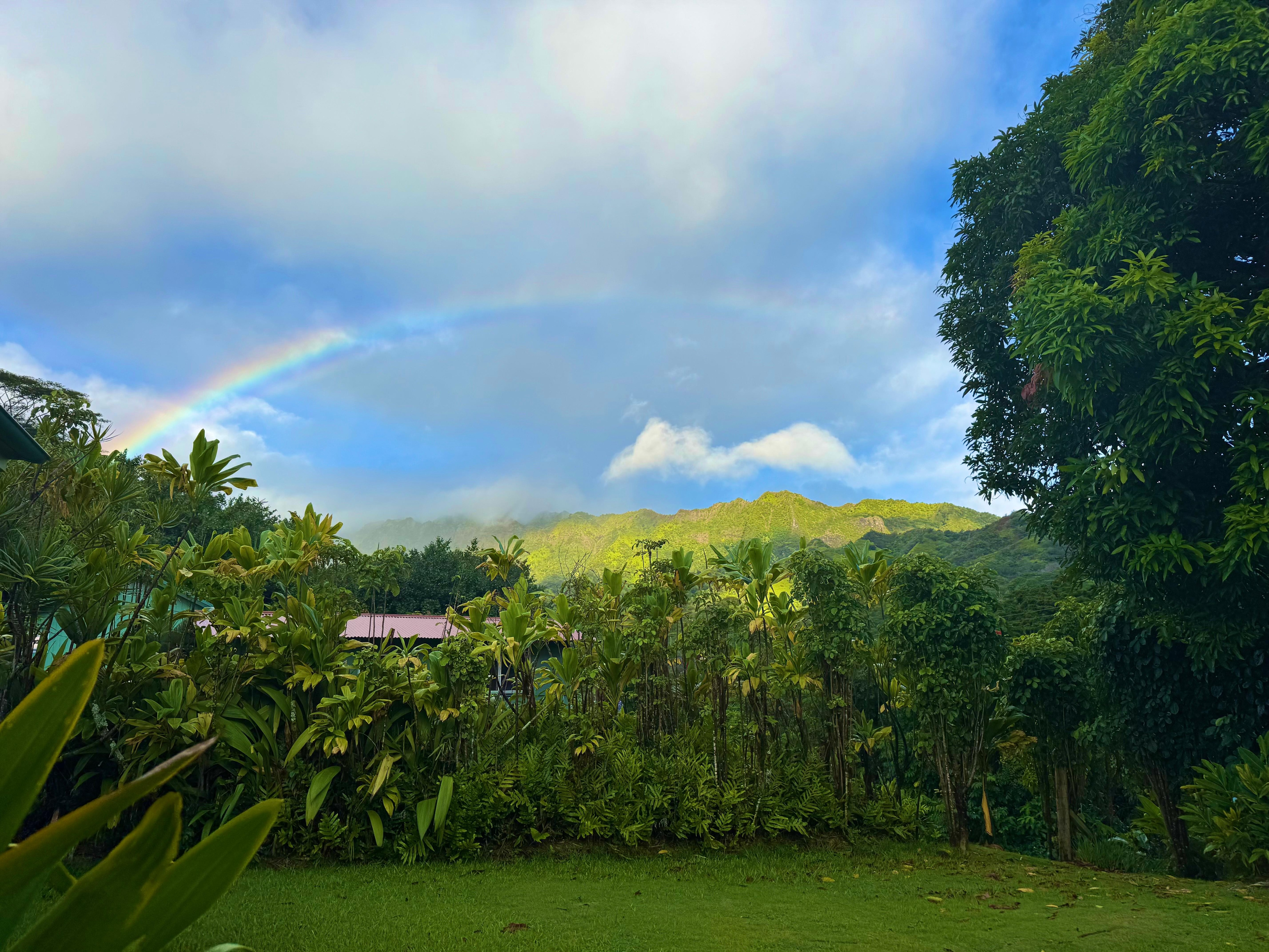 Sitting on the patio drinking coffee. 