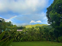 Sitting on the patio drinking coffee.