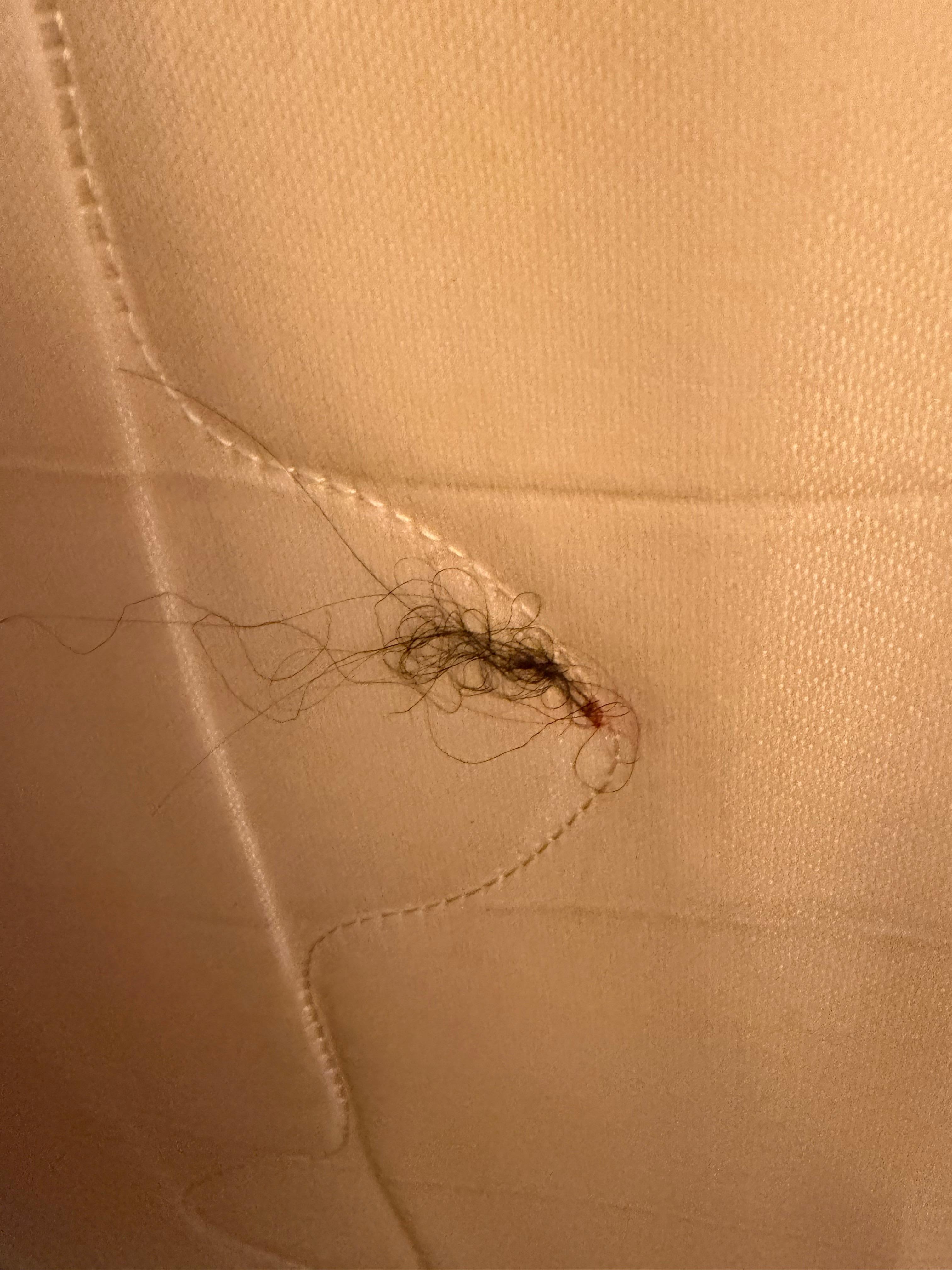 Some red candy and hair