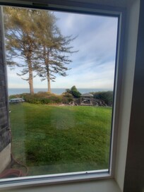 Gazebo area in backyard.