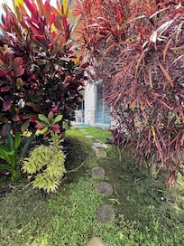 Pathway to the lanai from parking.
