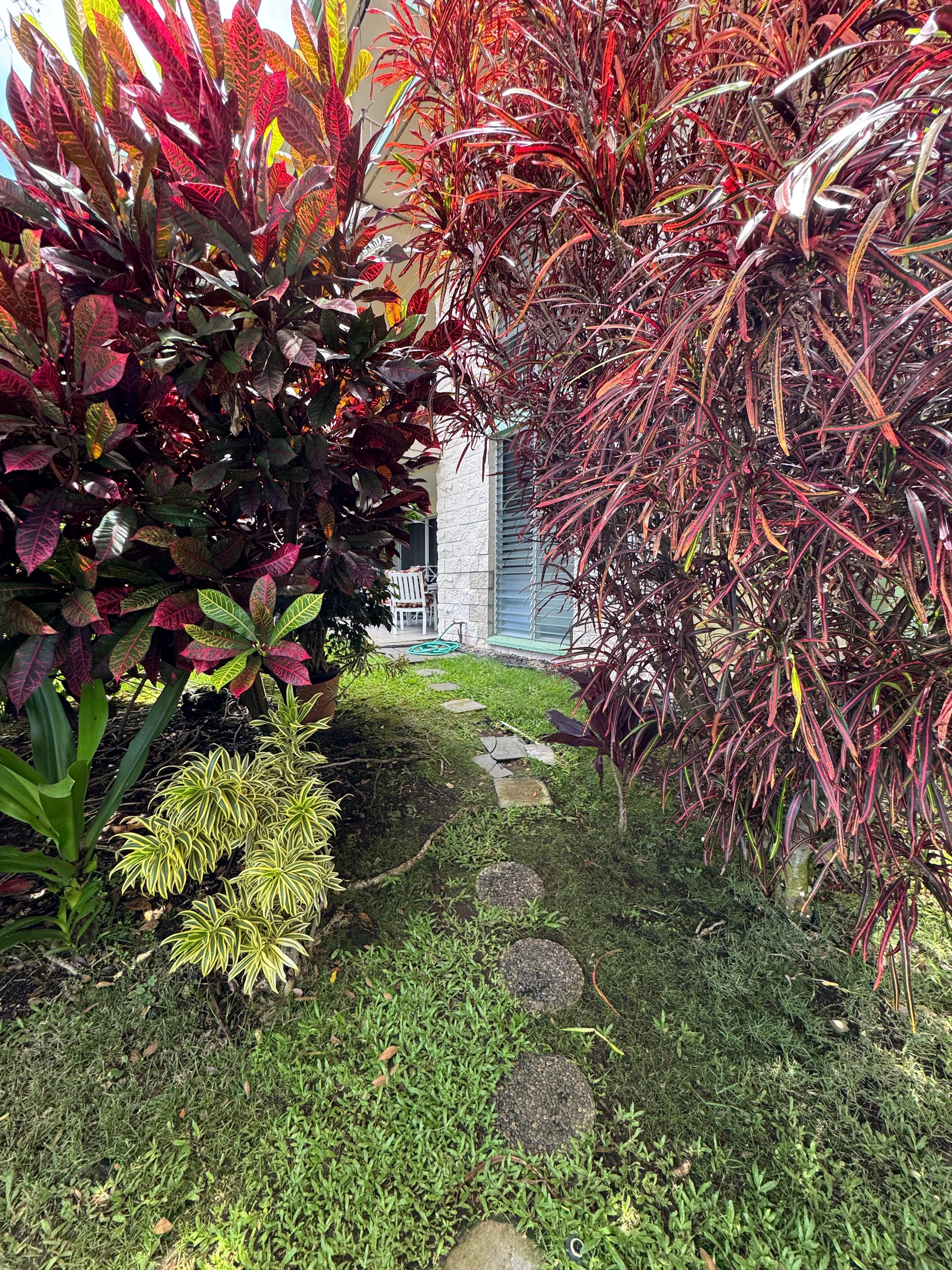 Pathway to the lanai from parking.