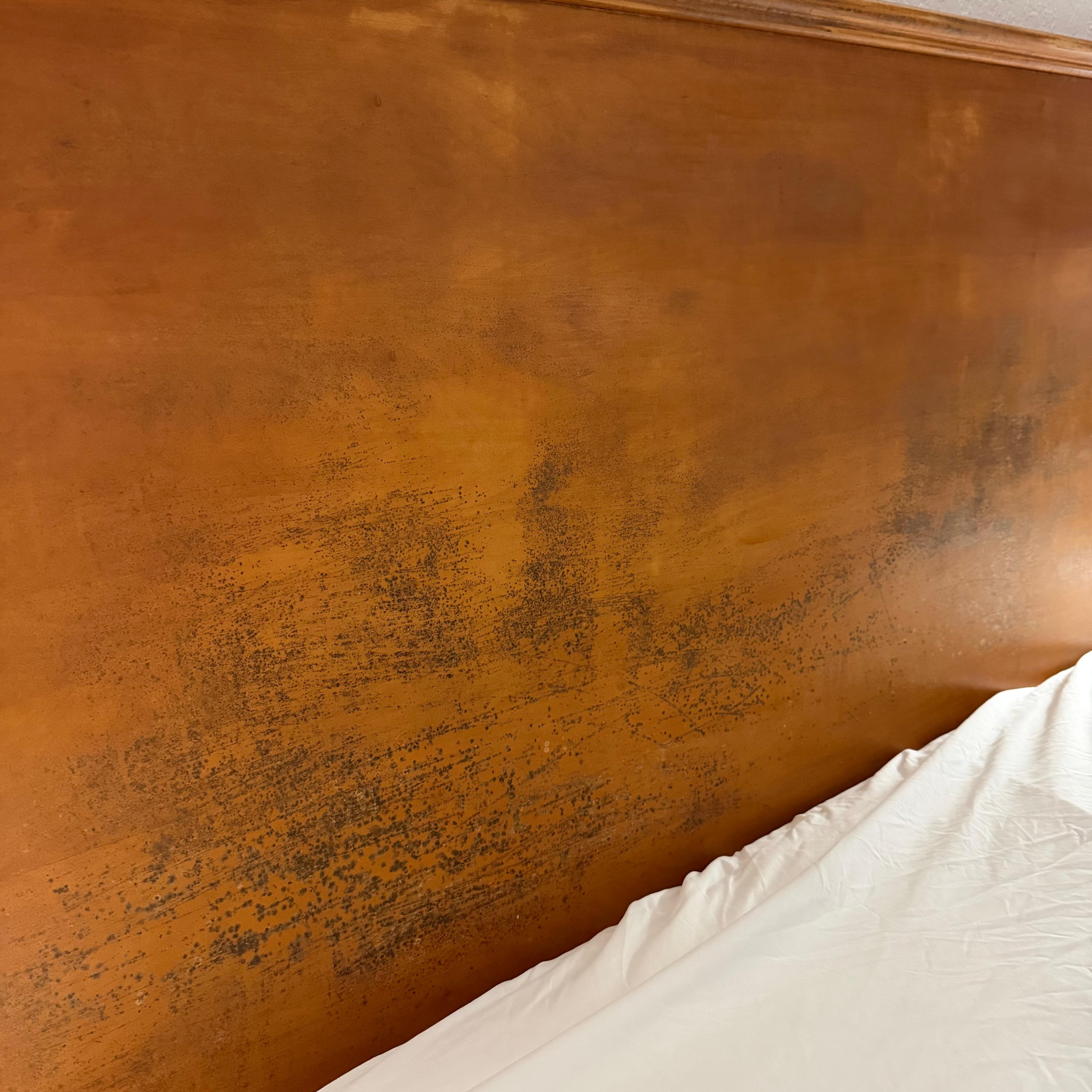 bed headboard with mold
