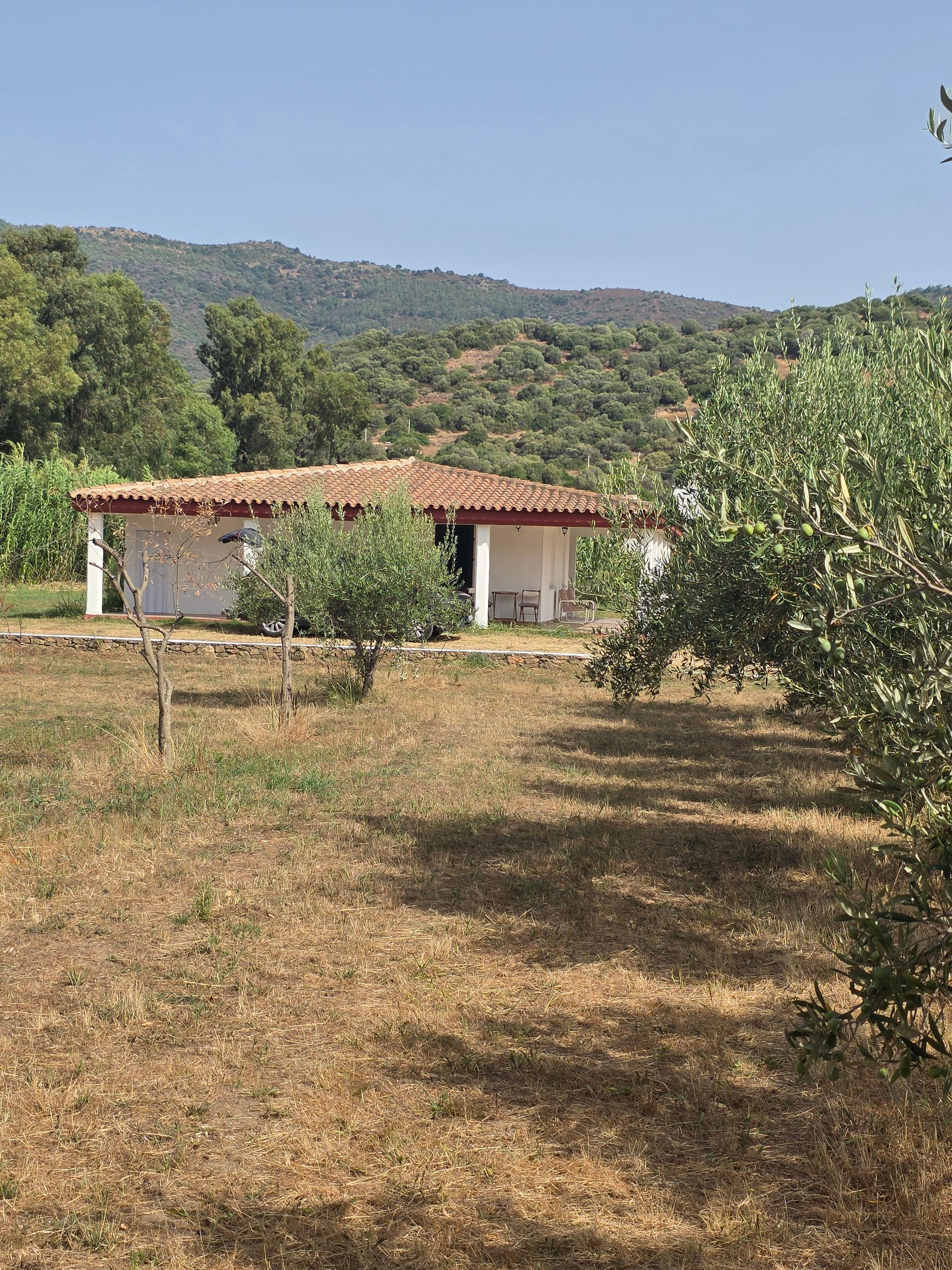 Blick aus dem vorderen Bereich