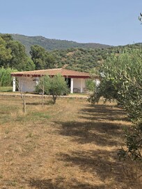 Blick aus dem vorderen Bereich