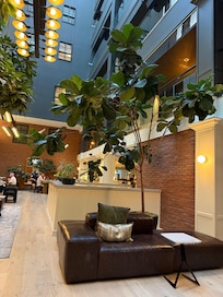 Beautiful plants in the common areas