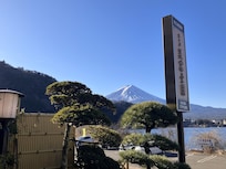 View from hotel lobby.