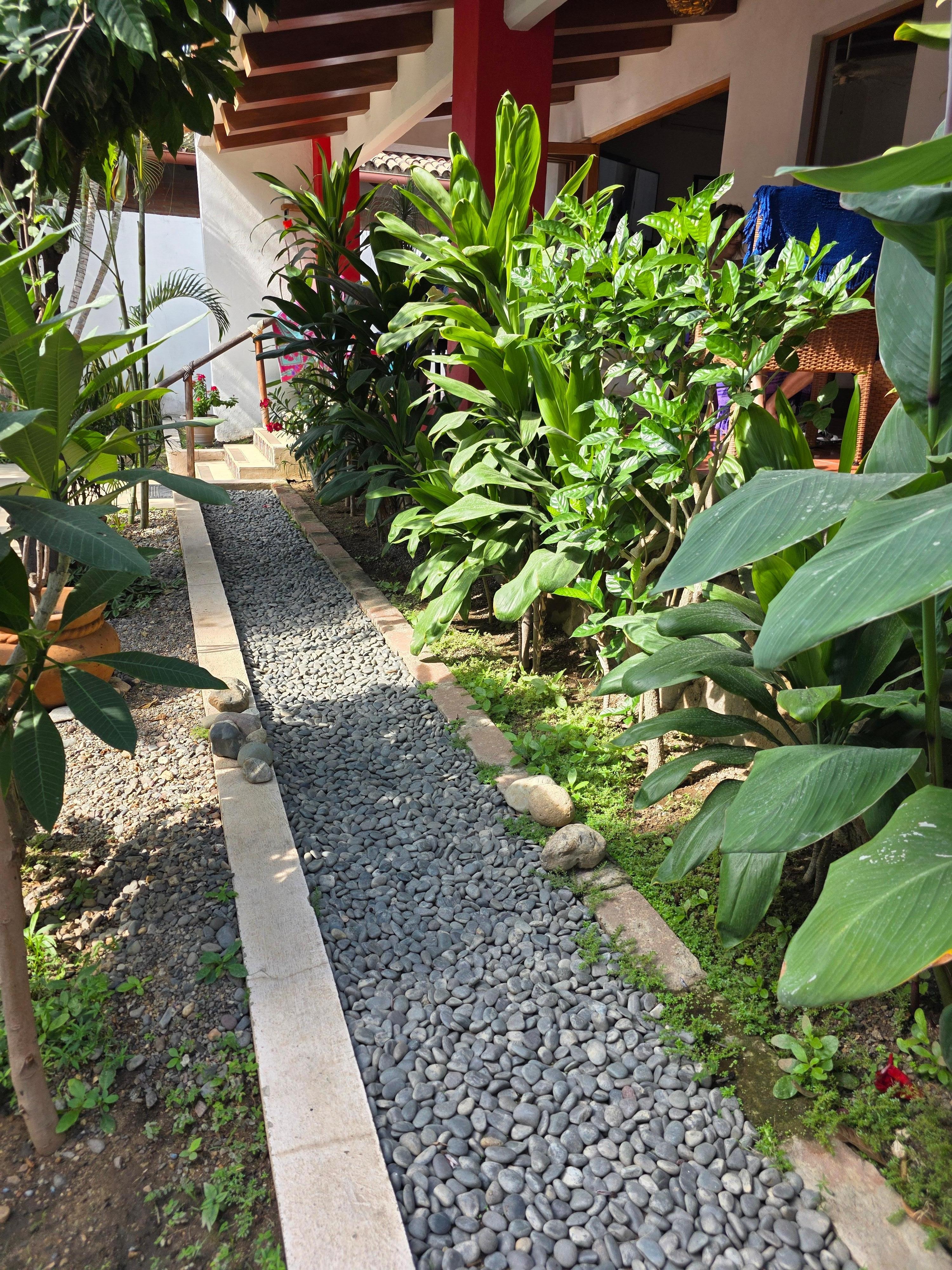 Part of the lovely garden, also many flowering plants.