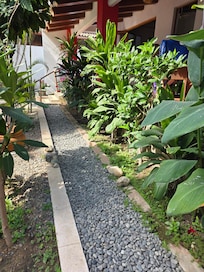 Part of the lovely garden, also many flowering plants.