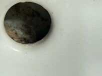 Sink overflow vent with black mold.