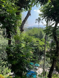 View from the restaurant