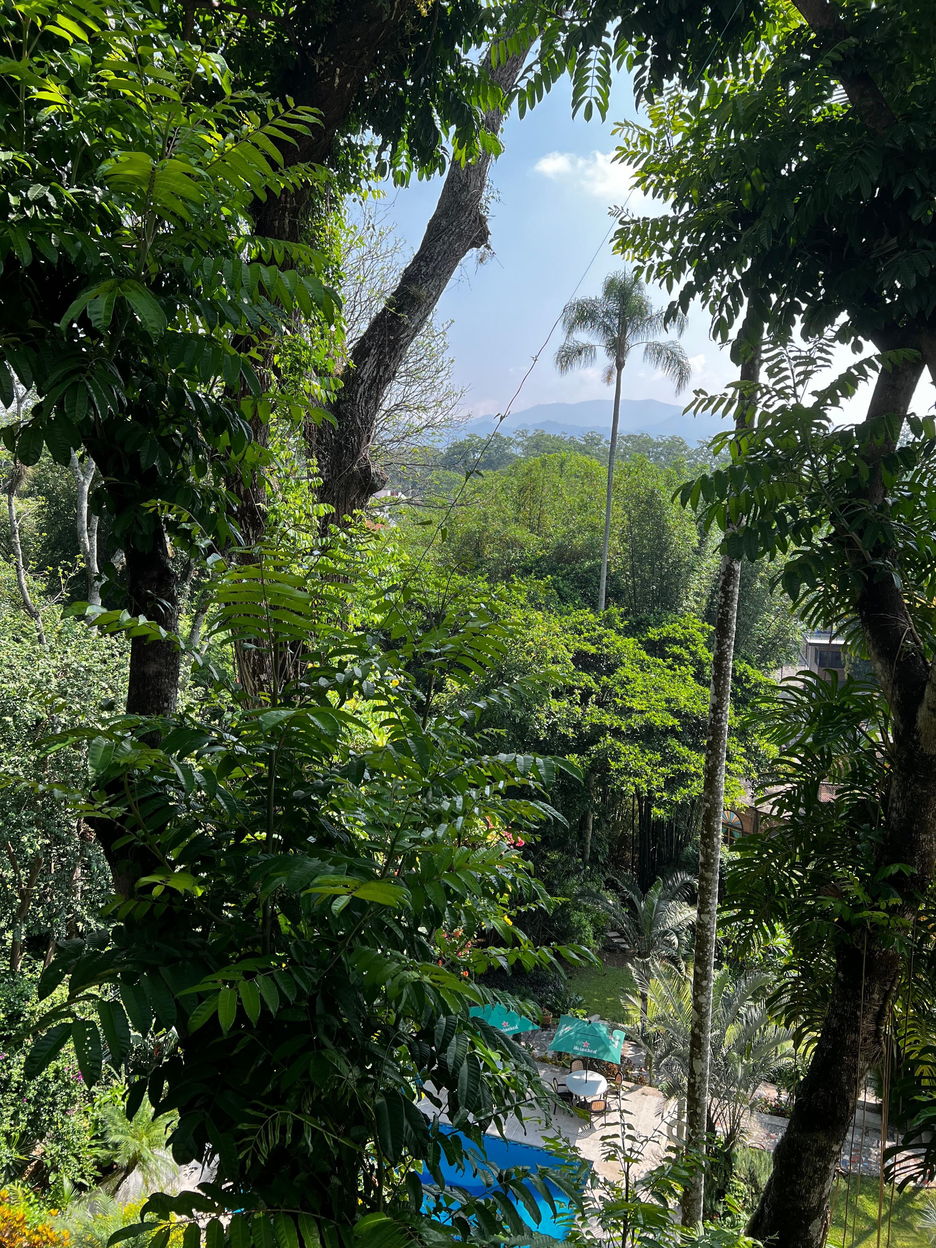 View from the restaurant 