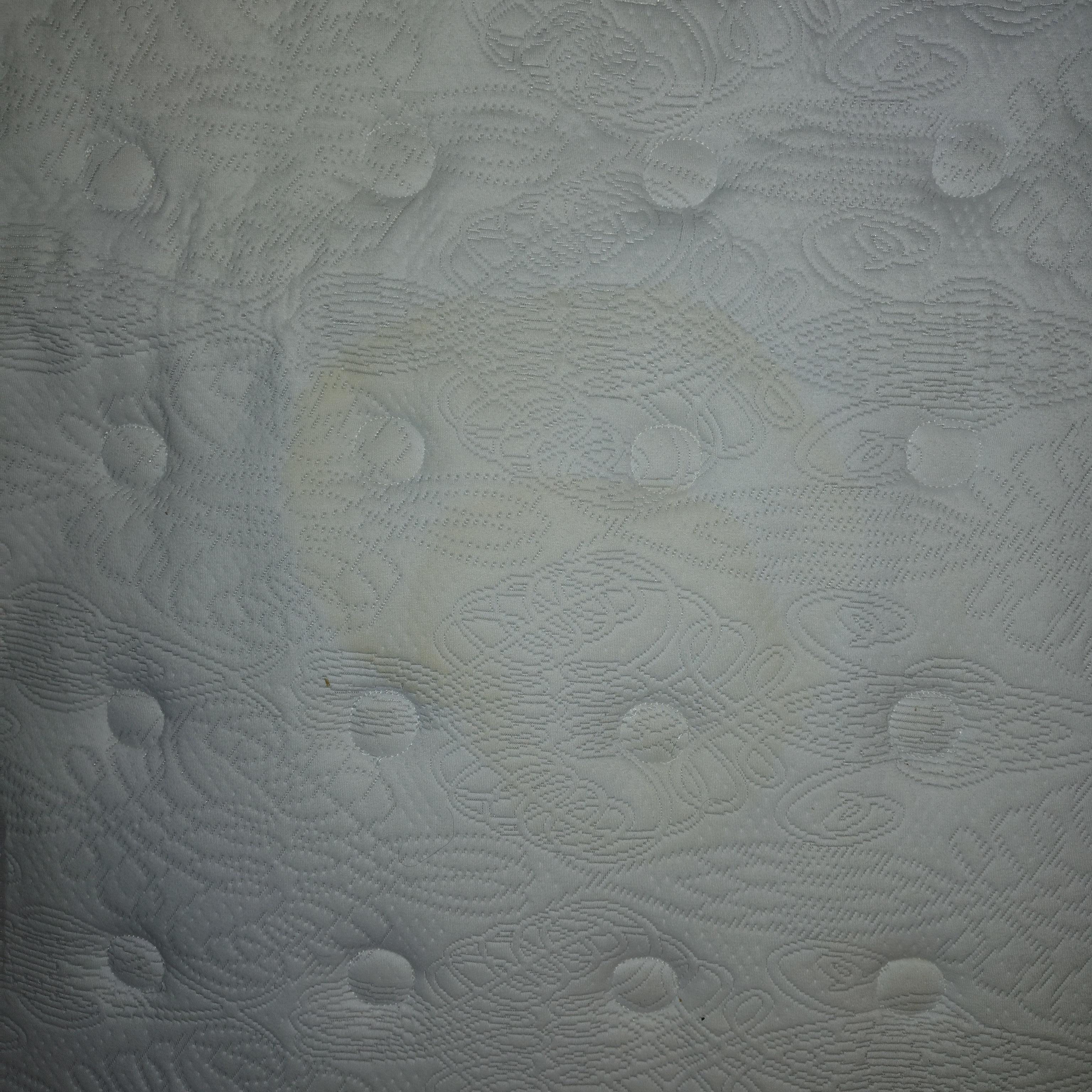 These are urine stains on the mattress.  Bedwetters were here.  Cleaning staff we're not. 