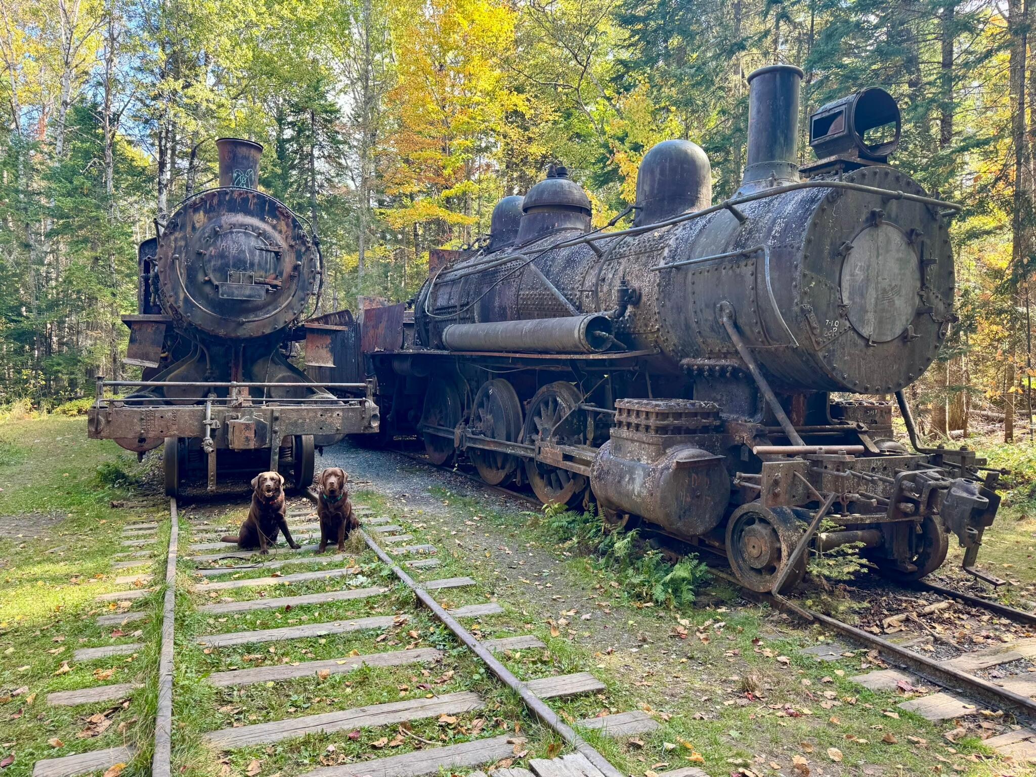 Allagash Trains at Eagle Lake - NMW