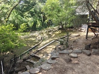 Exploring the grounds