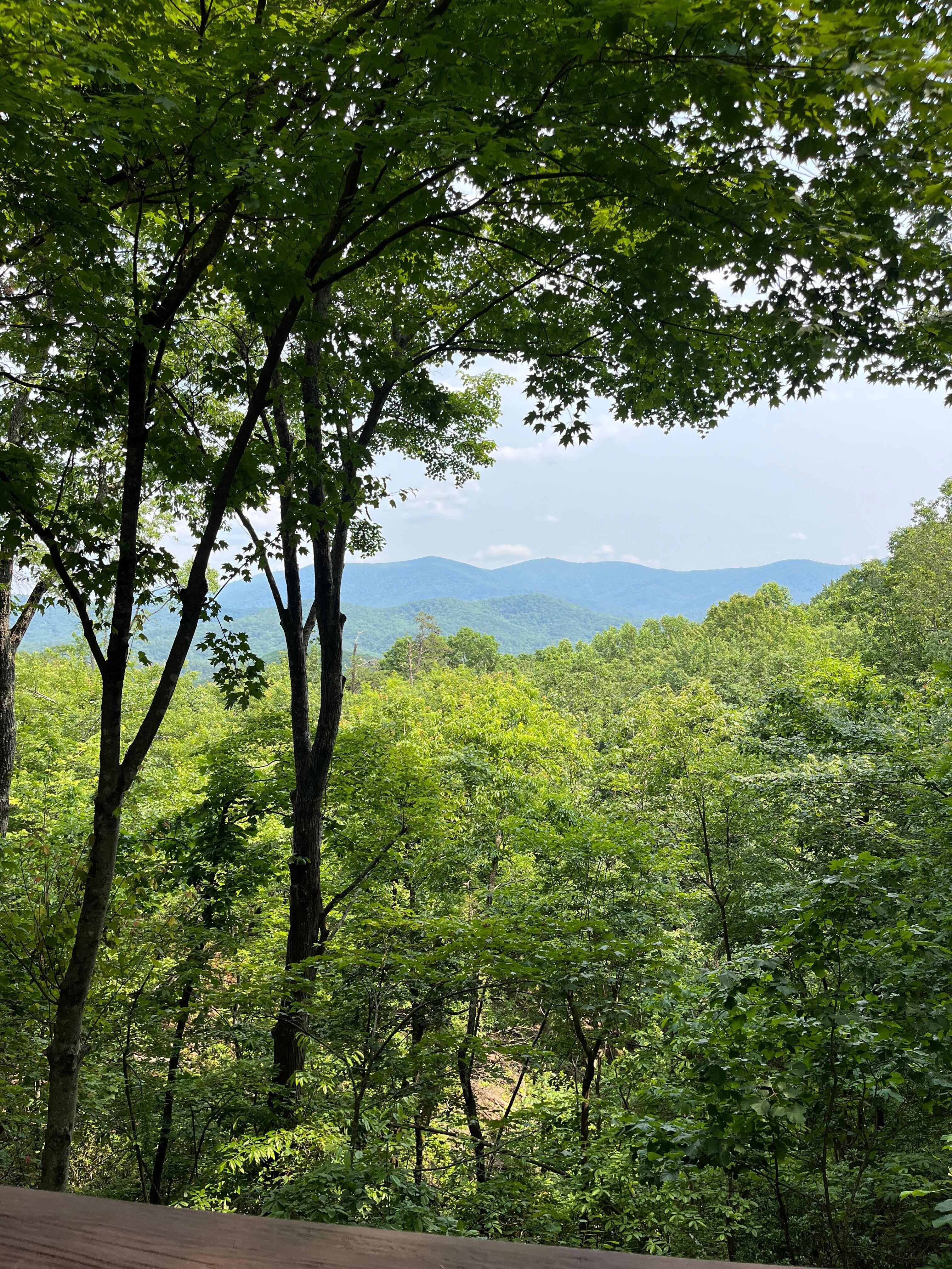 The view from the back porch!