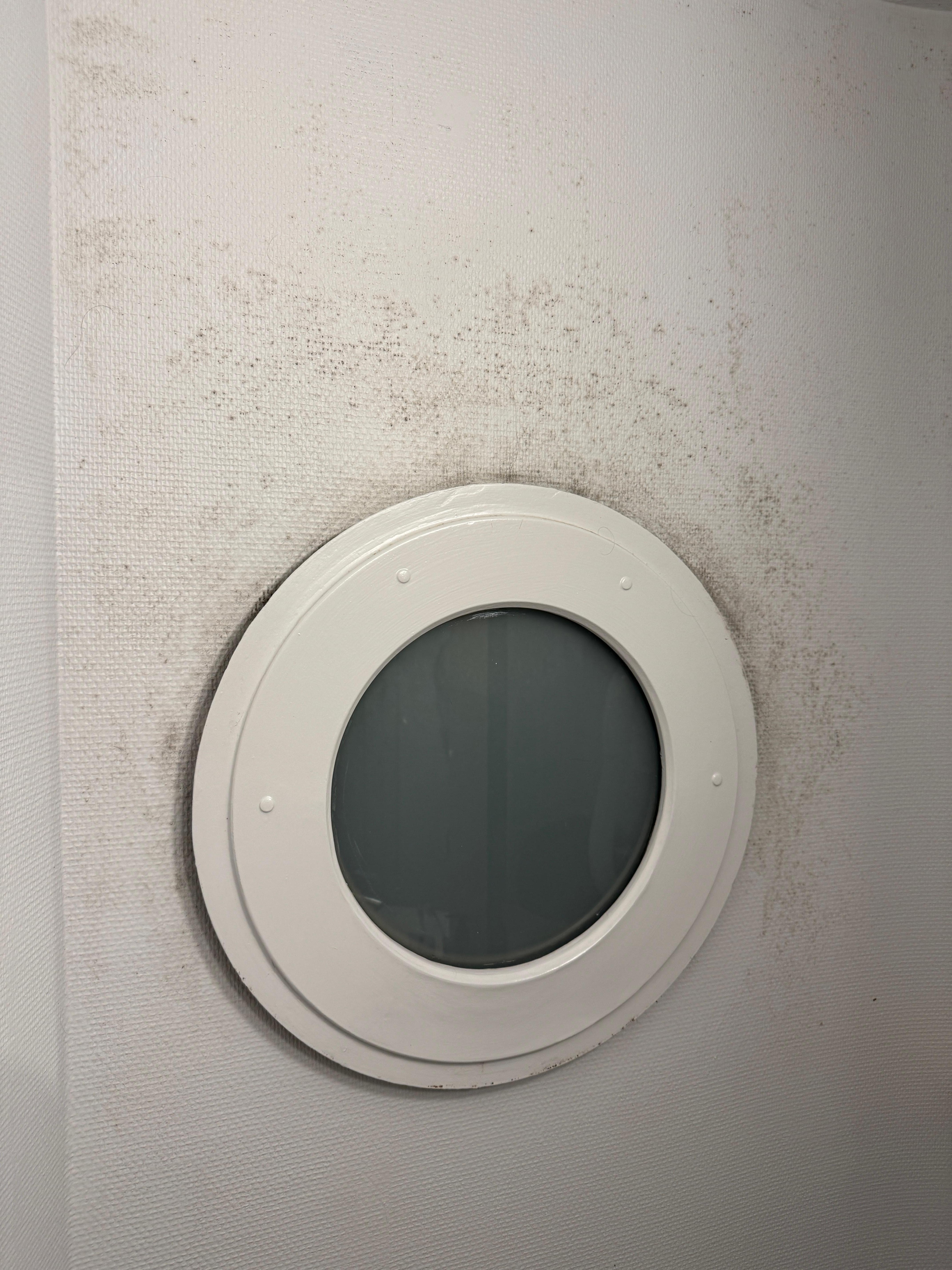 Stains that look like mold on the bathroom wall. 