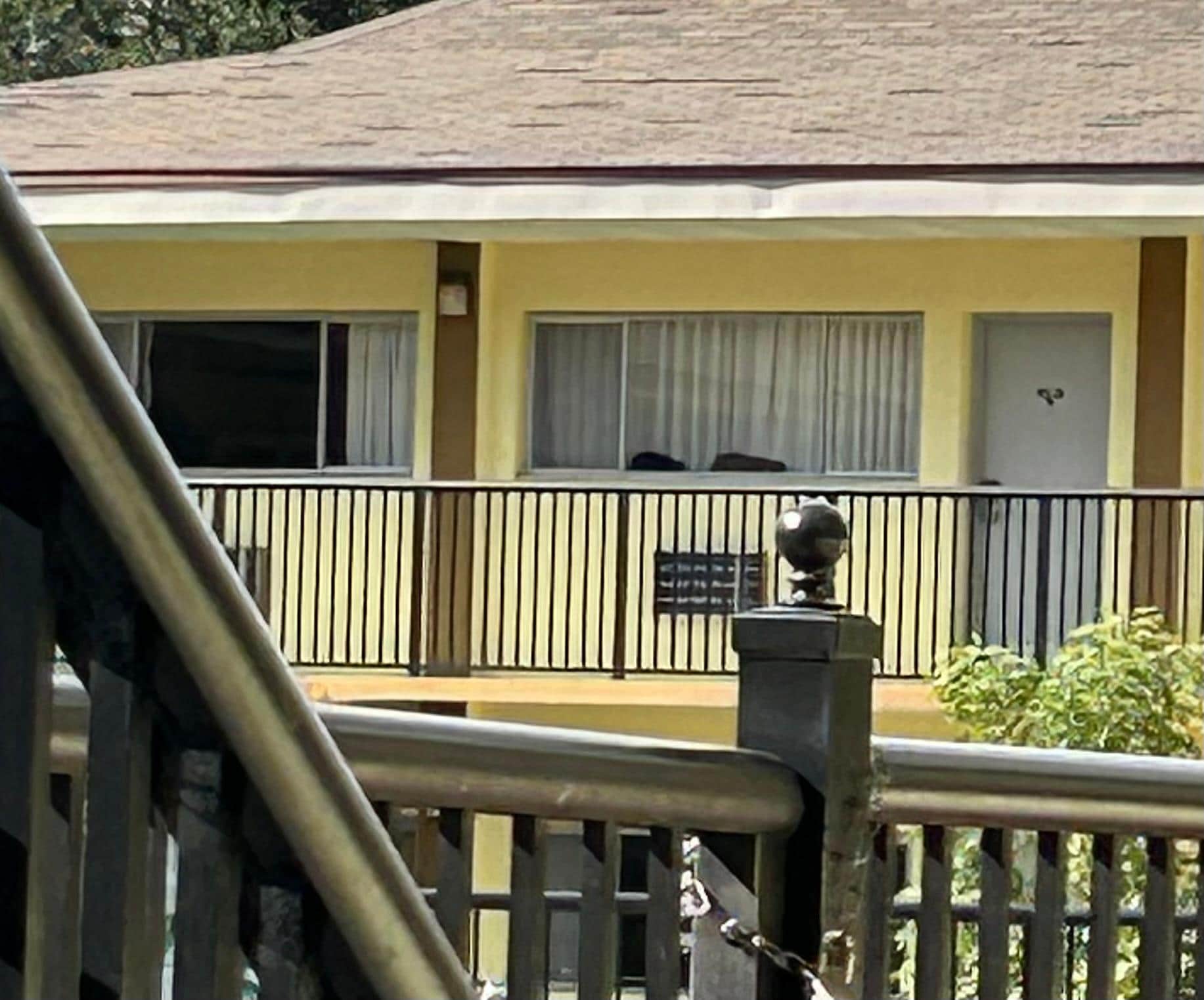 Cats in several of the room windows.