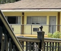 Cats in several of the room windows.