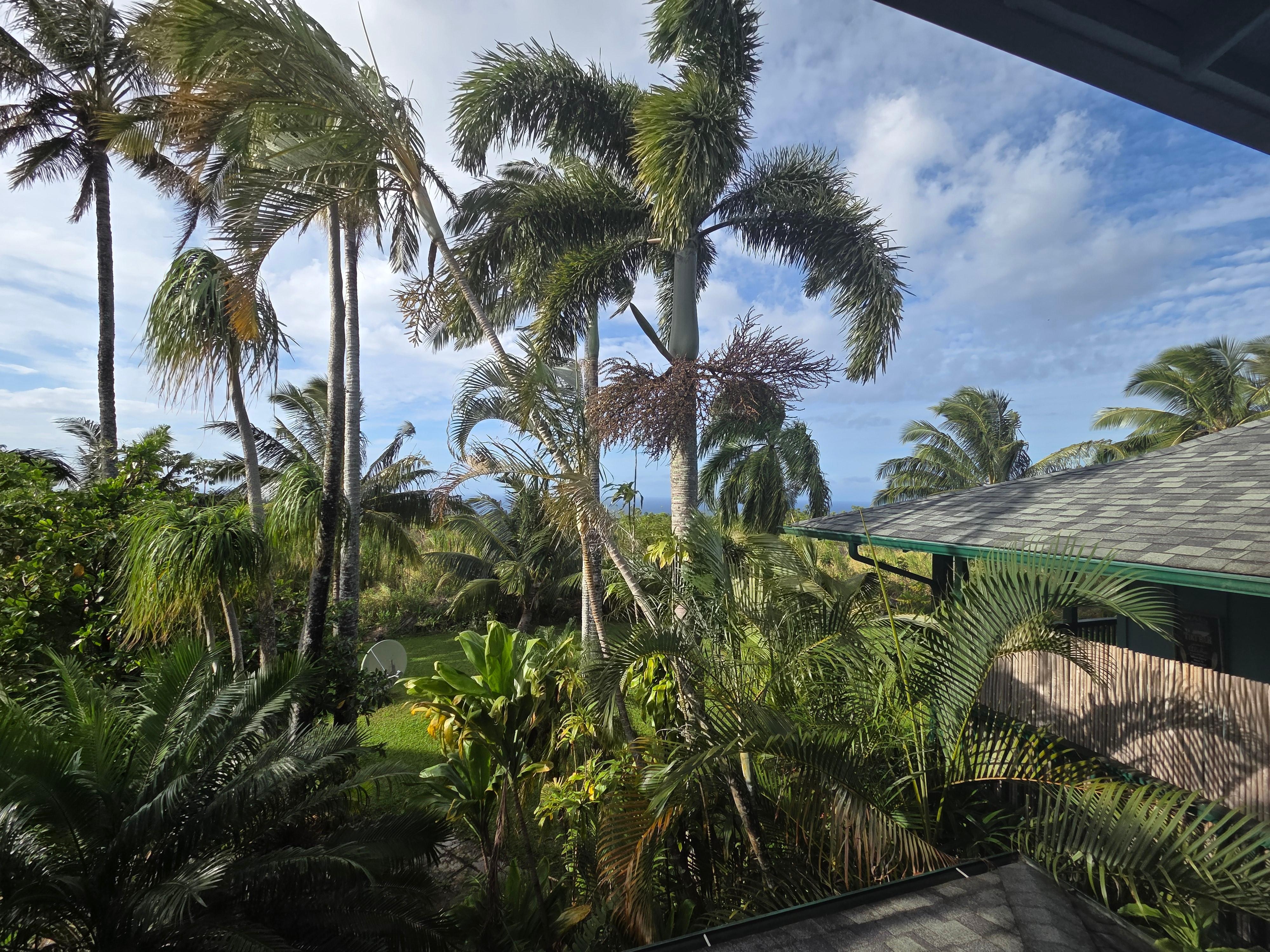Ocean and lush garden view from Room 3