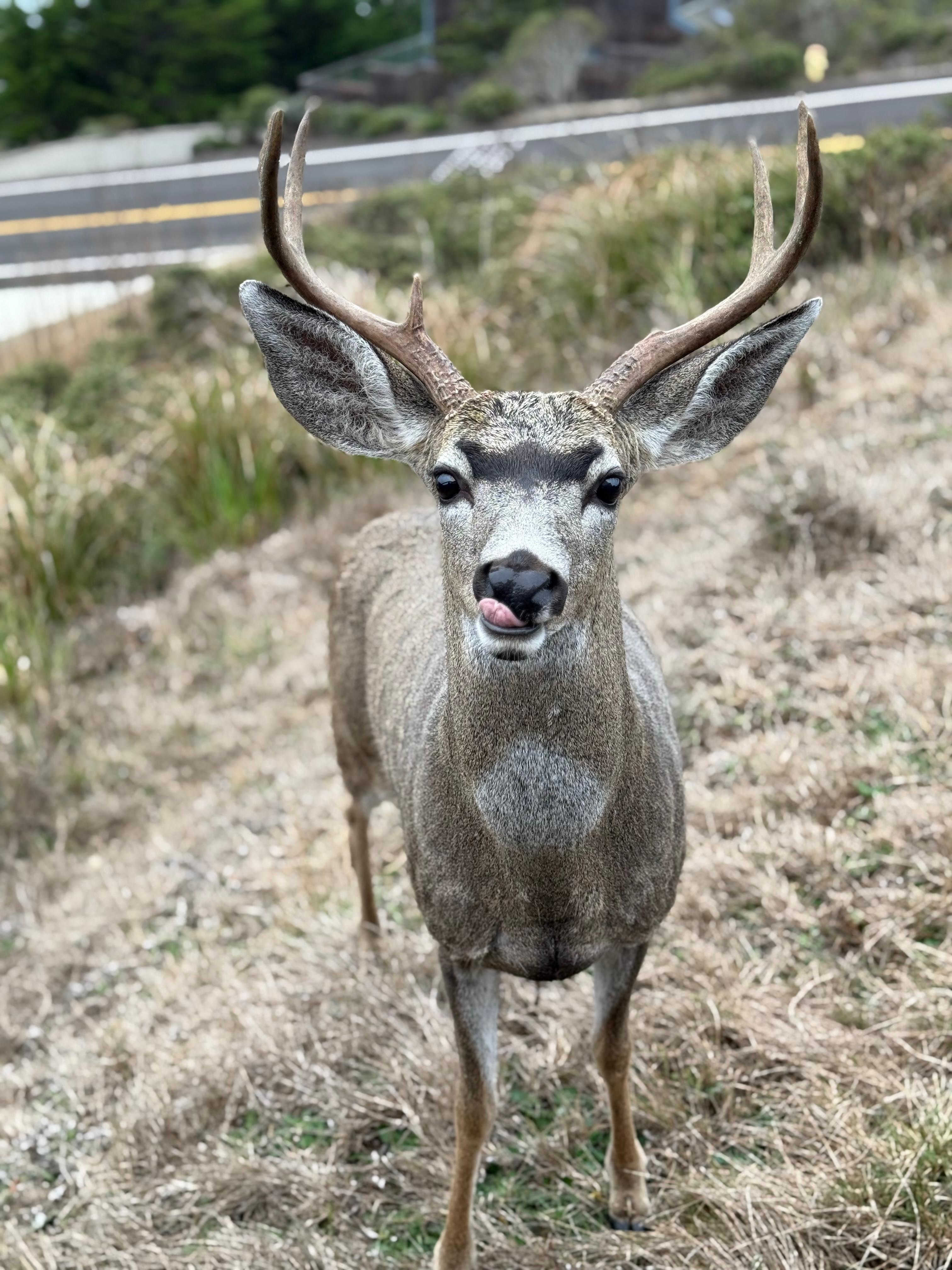 We loved the wildlife!