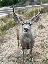 We loved the wildlife!