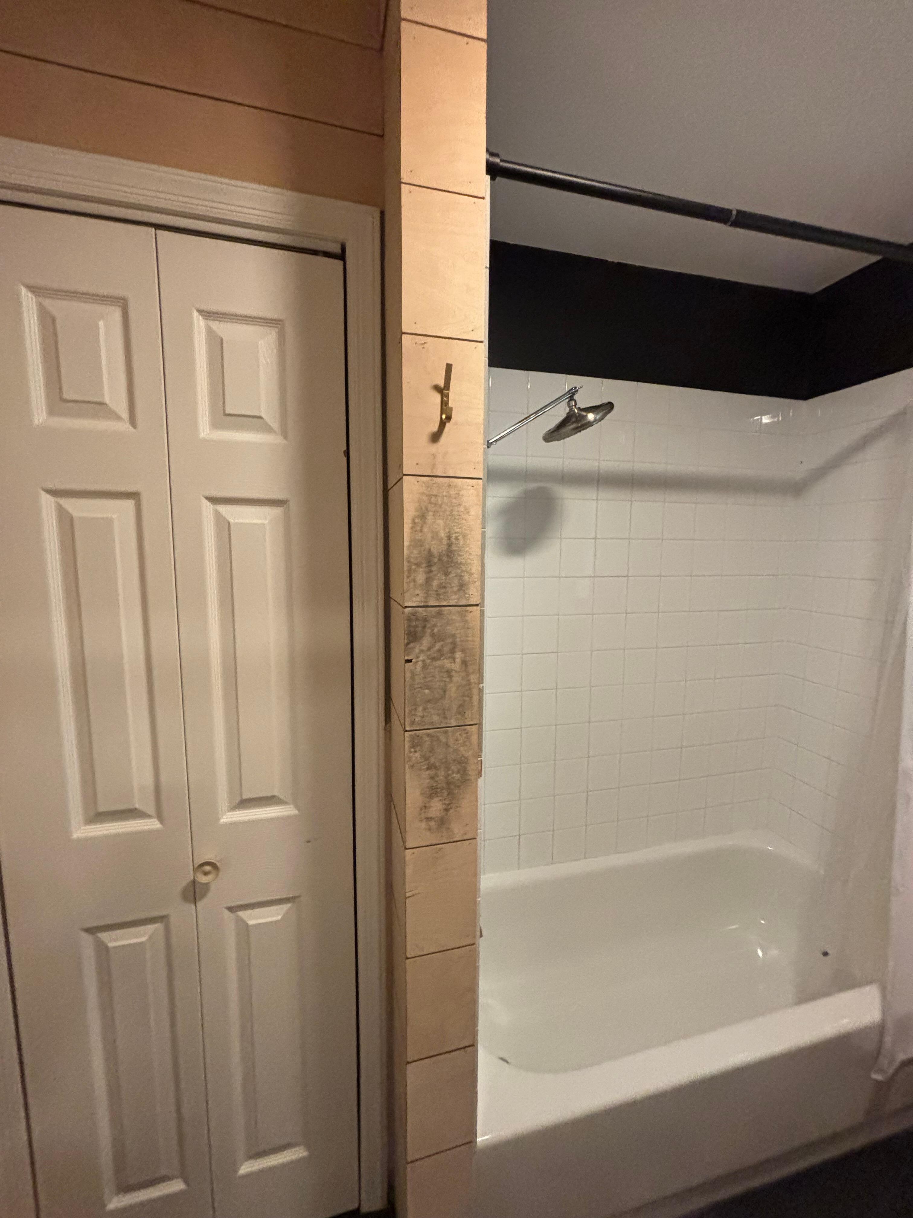 MOLD under hook in bathroom