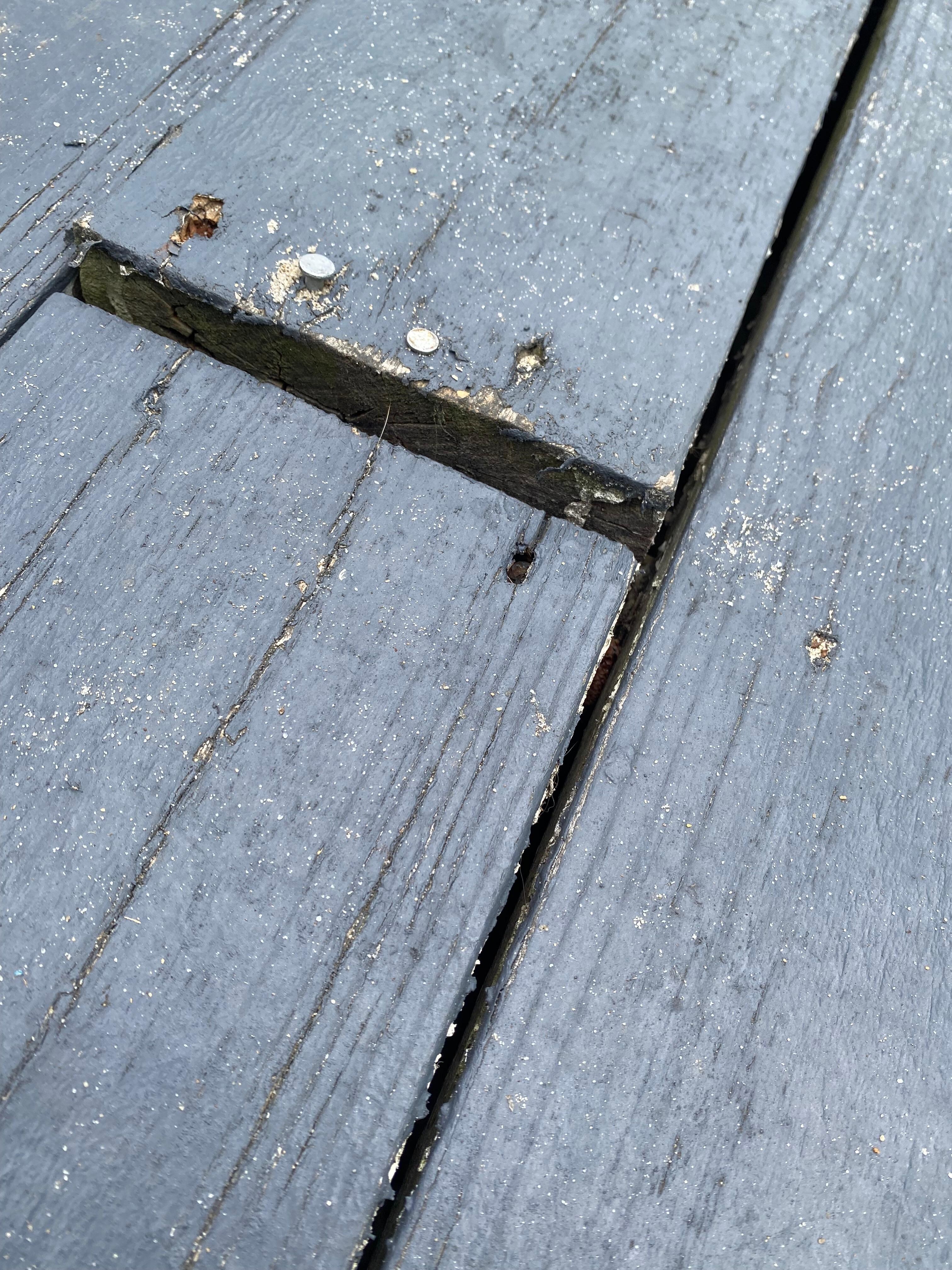 Back deck