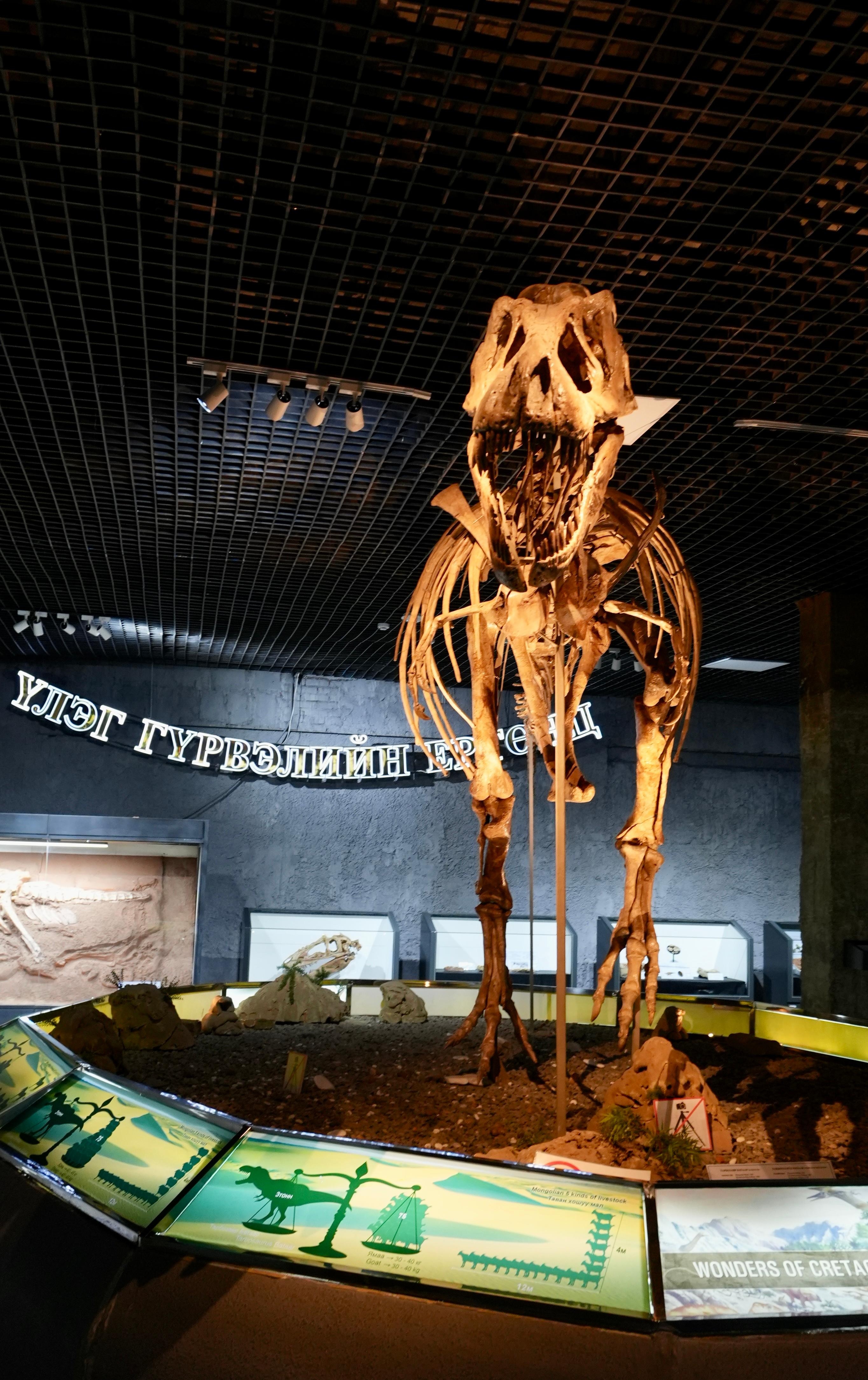 ウランバートル自然史博物館