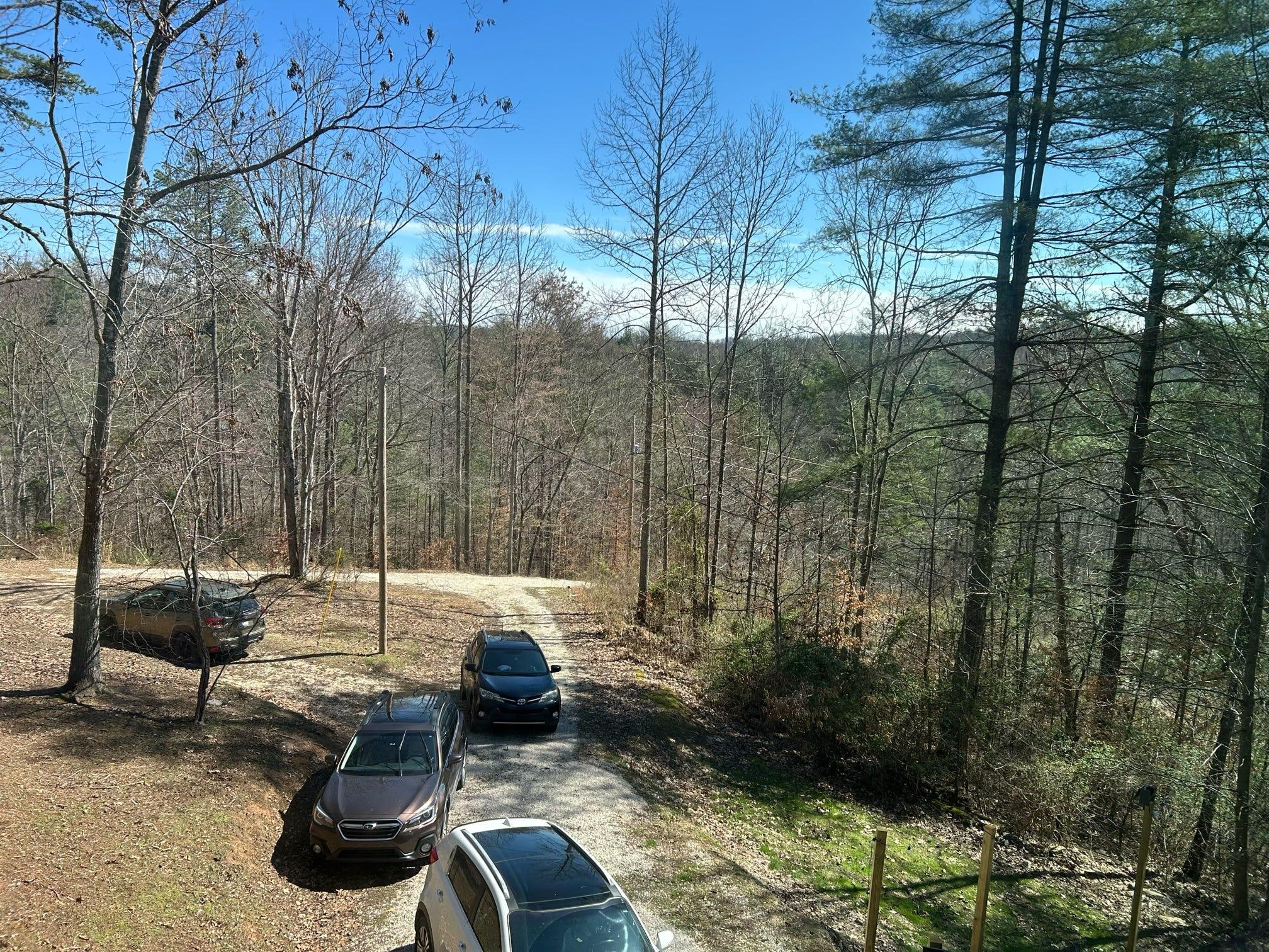 View out of kitchen window.