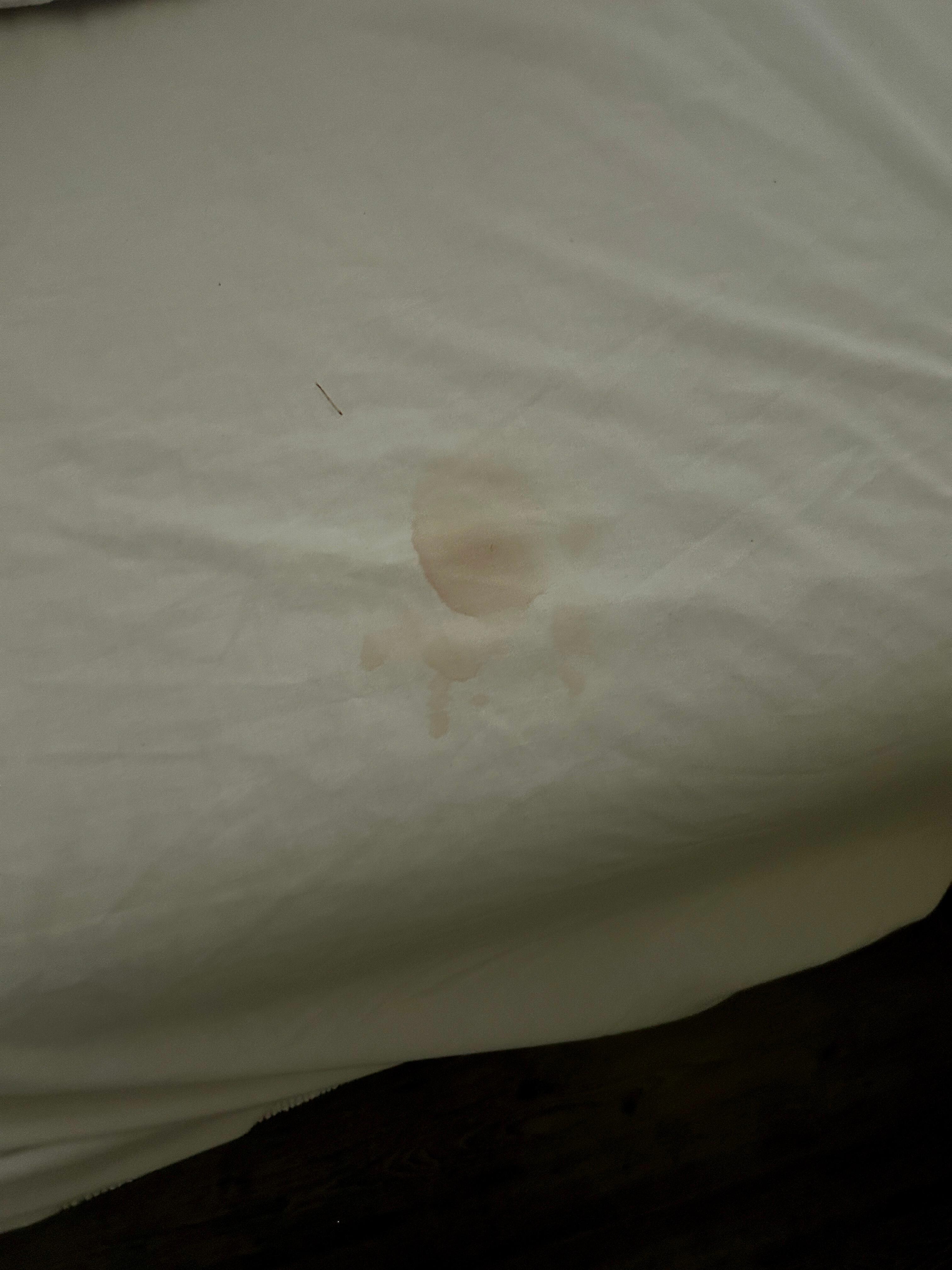 Bed 1