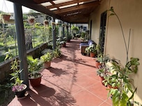 Beautiful decor and plants. Very peaceful to walk through.