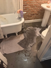 Downstairs bathroom shower leak