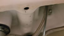 Ants in the property. Kitchen and downstairs toilet. Staff said it is normal as rats are also common despite the price you pay.