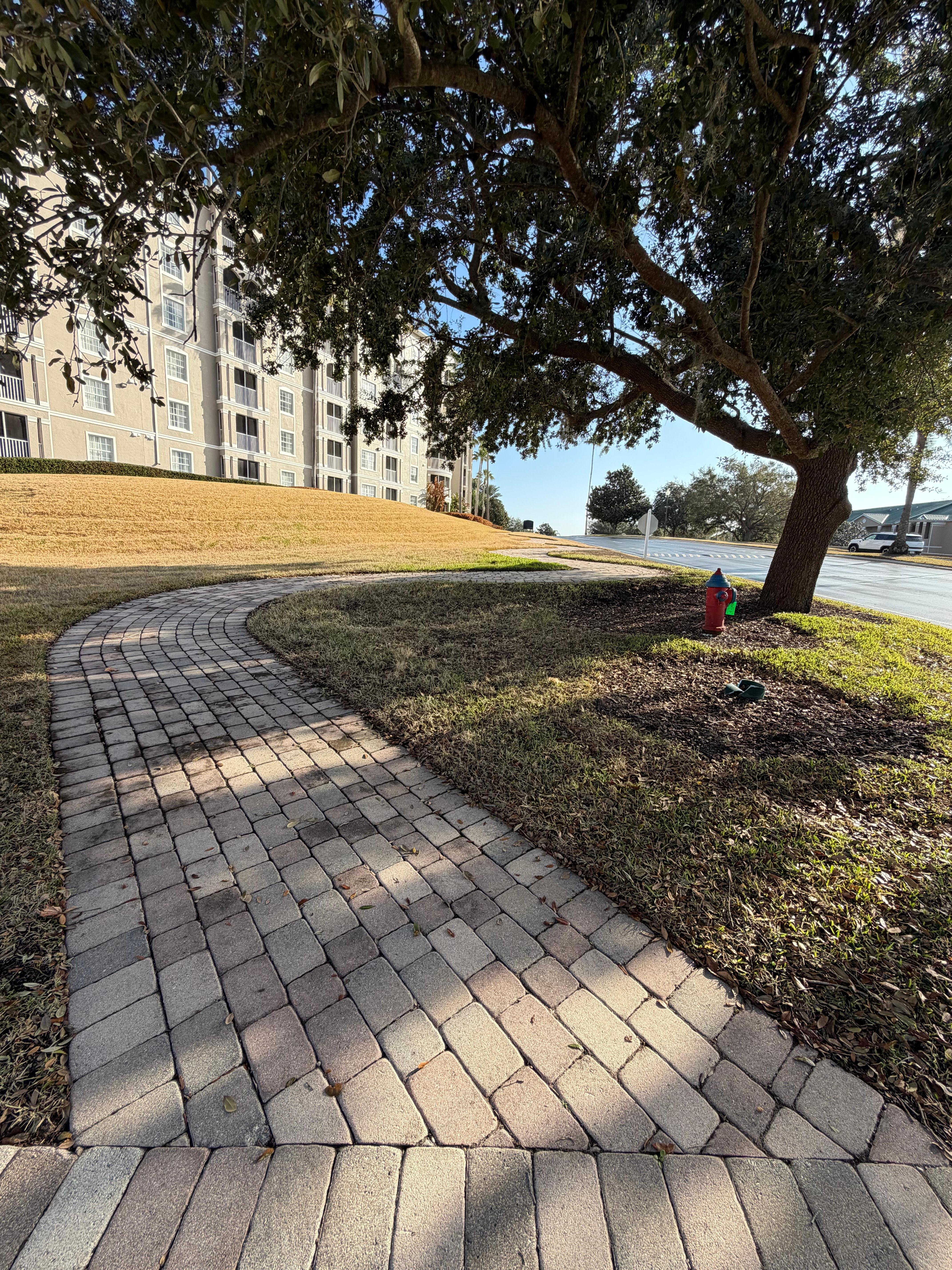 Hermosos lugares para caminar en familia 