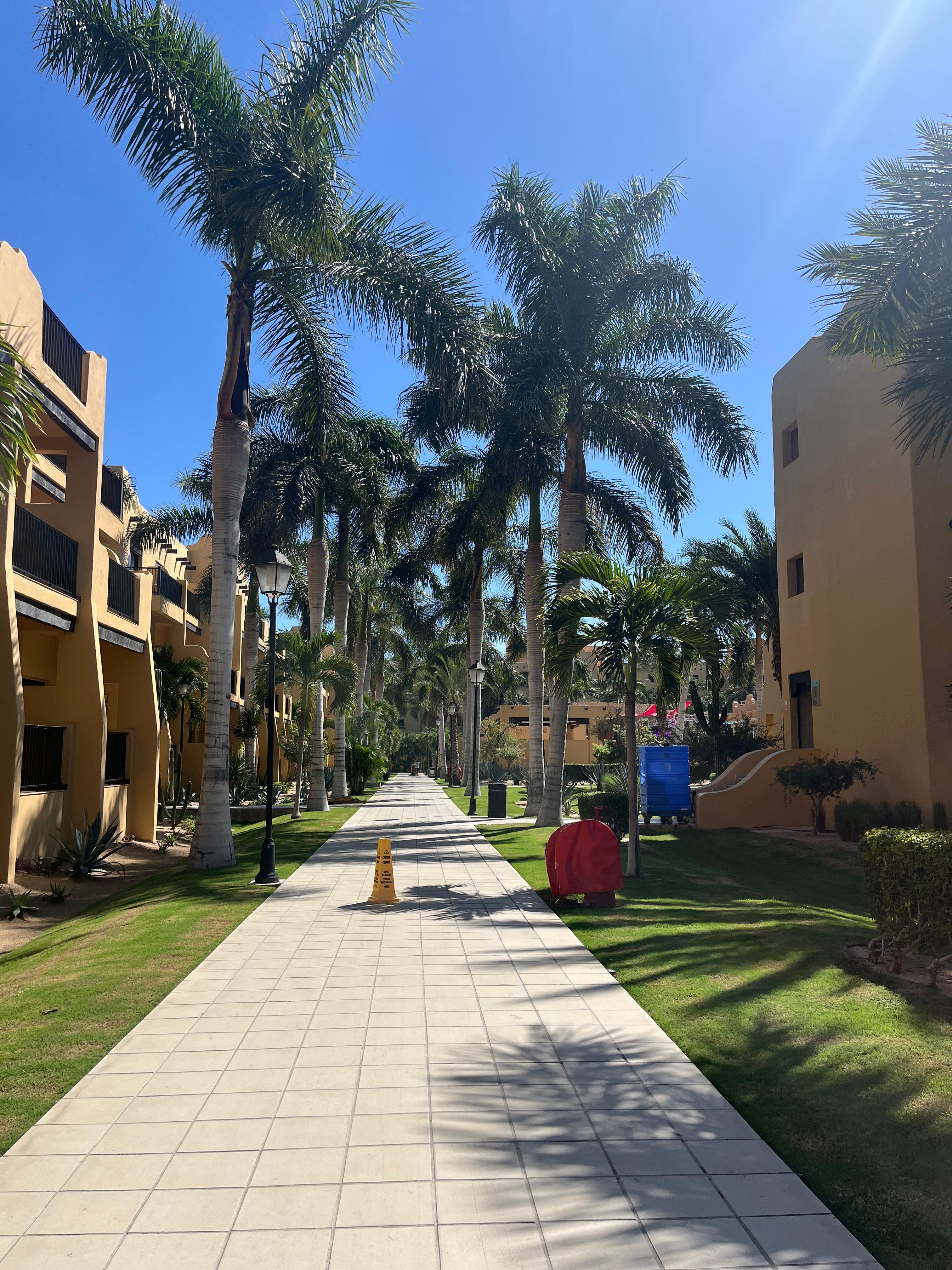 The resort is very big & beautiful, you will get an average of 10,000 steps if not more. 