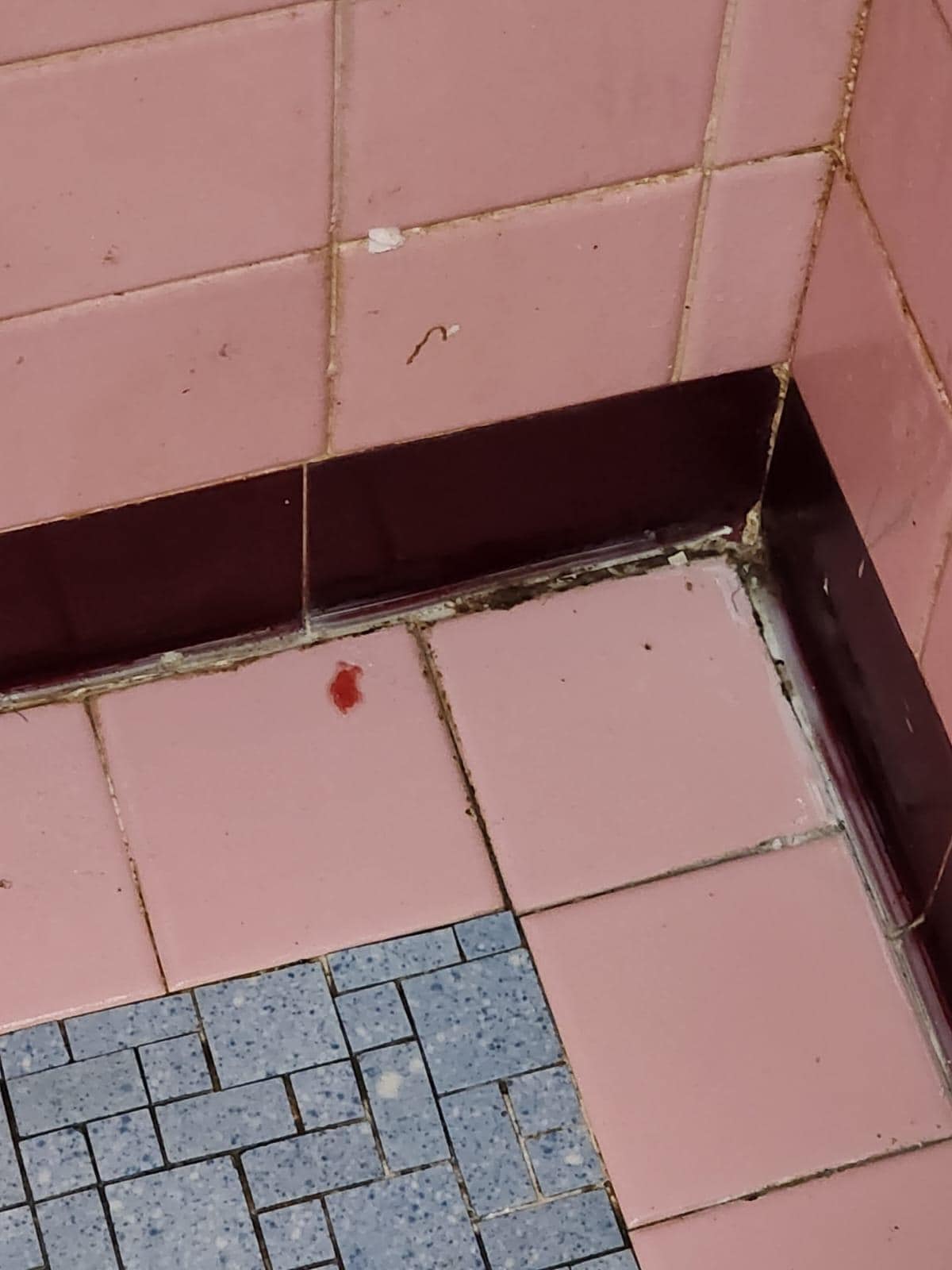 Sangre en el baño 