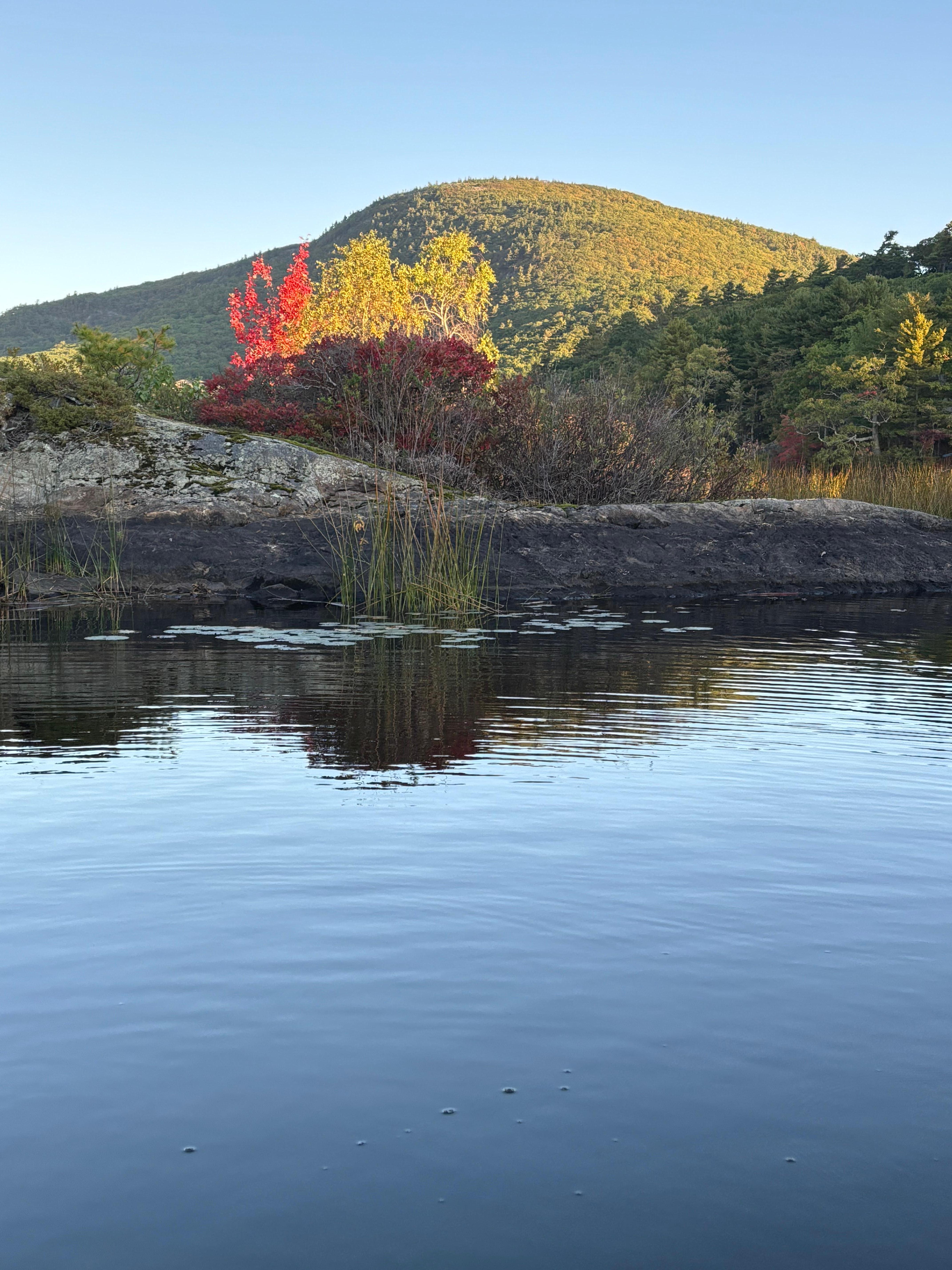 View from the dock. 💕.   