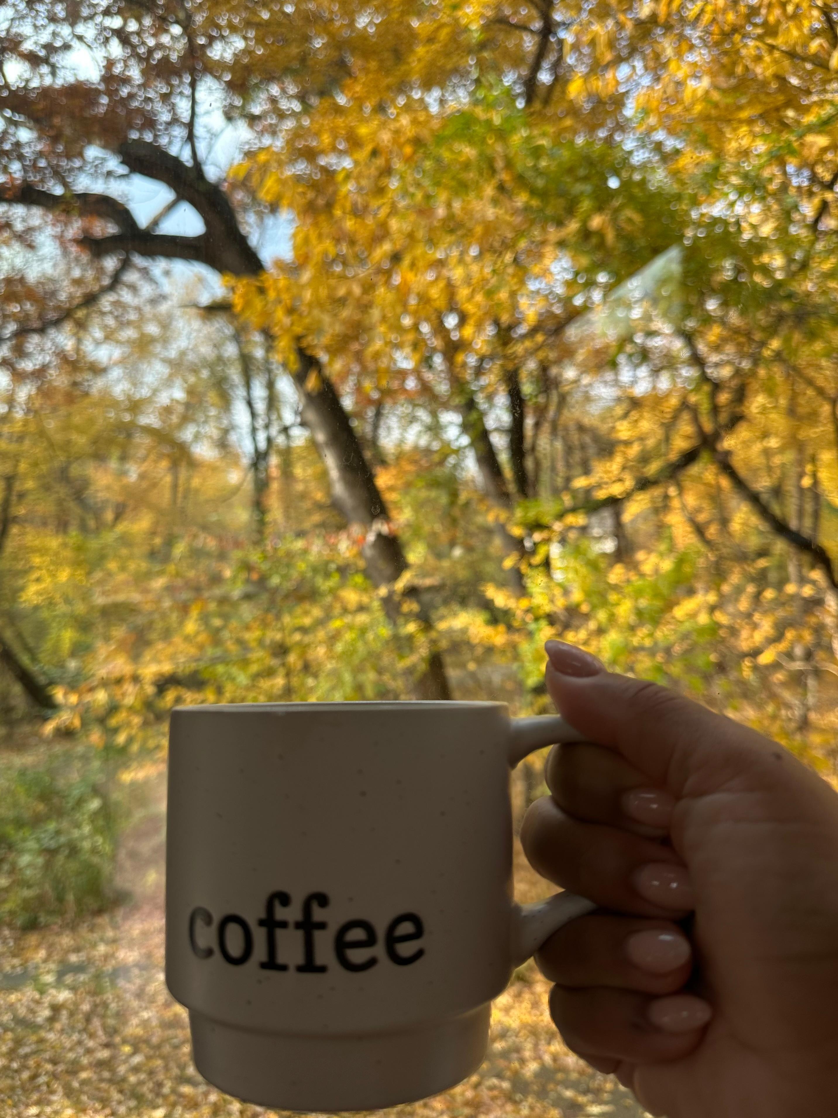 Morning coffee from indoor window views